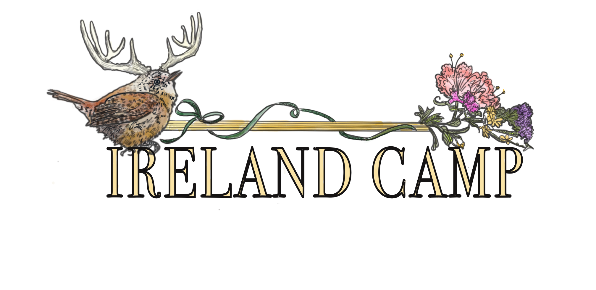 Ireland_Camp banner .png