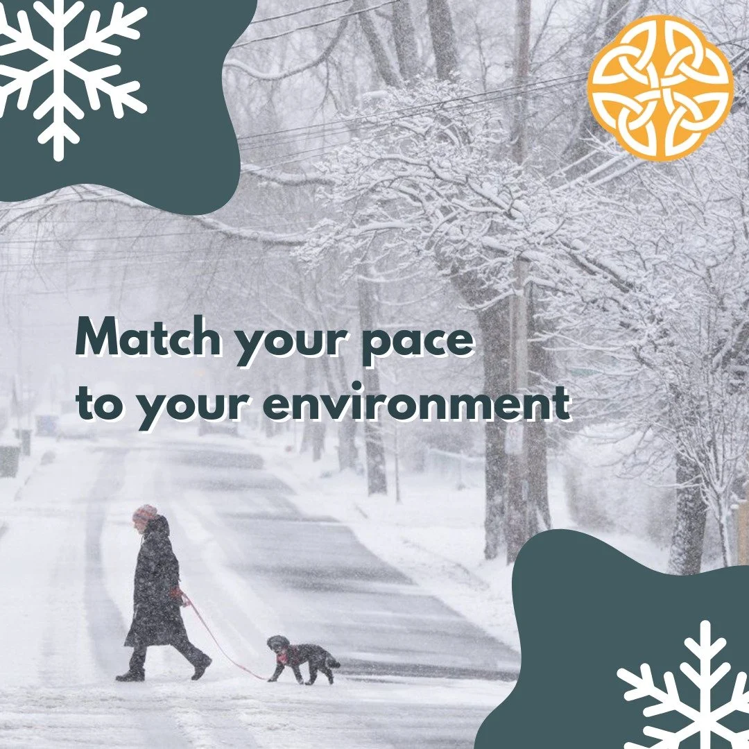 Halifax got buried in snow (again 🙃), and it&rsquo;s just not realistic to expect maximum productivity when the city is buried like this.

Adjusting your pace to match reality isn&rsquo;t laziness. It&rsquo;s responding to real limits, real bodies, 