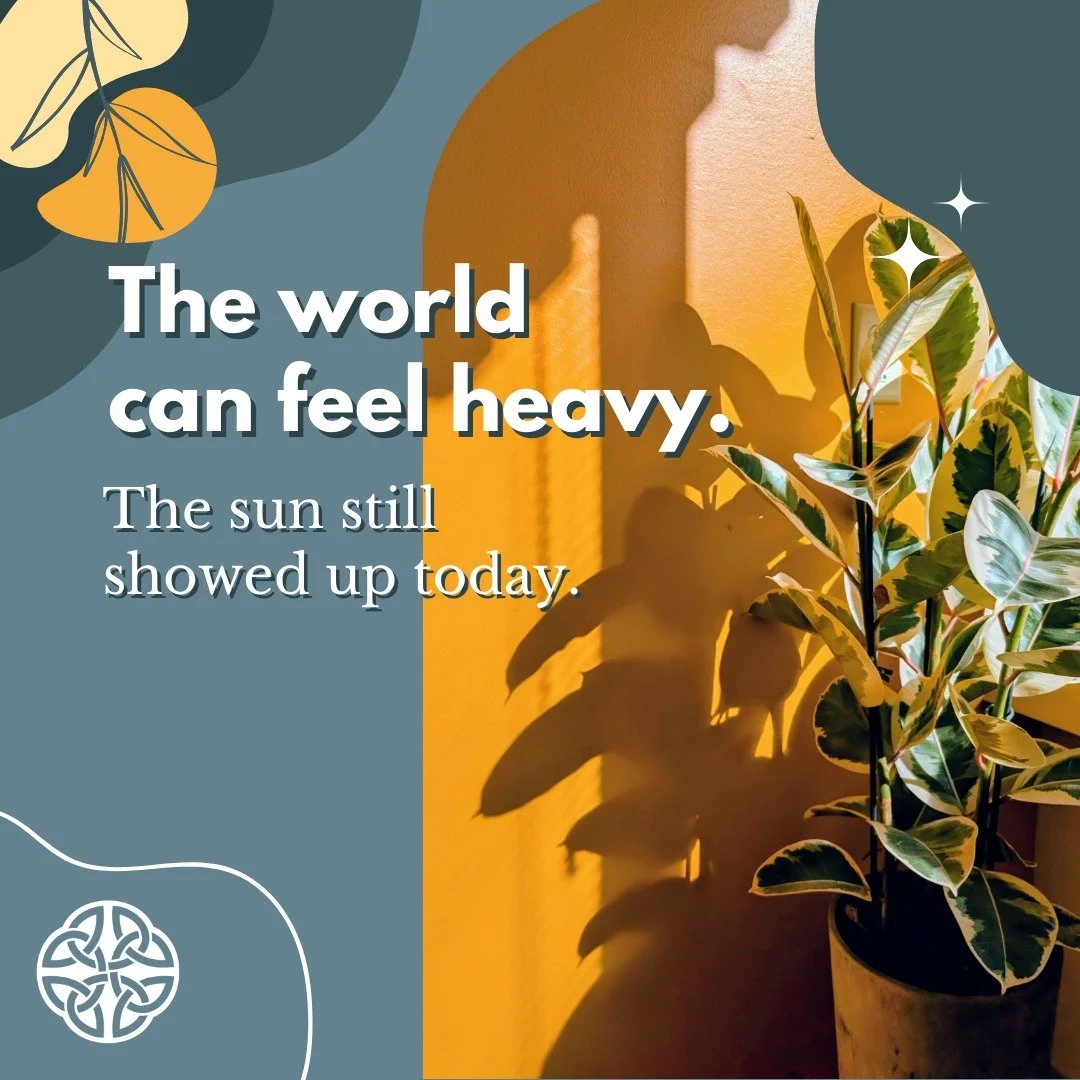 Some weeks the world feels especially heavy. News cycles, local stress, global uncertainty. It can be a lot.

And then a little sun shows up after days of grey.

Moments like that don&rsquo;t solve everything, but they can remind us that warmth, conn