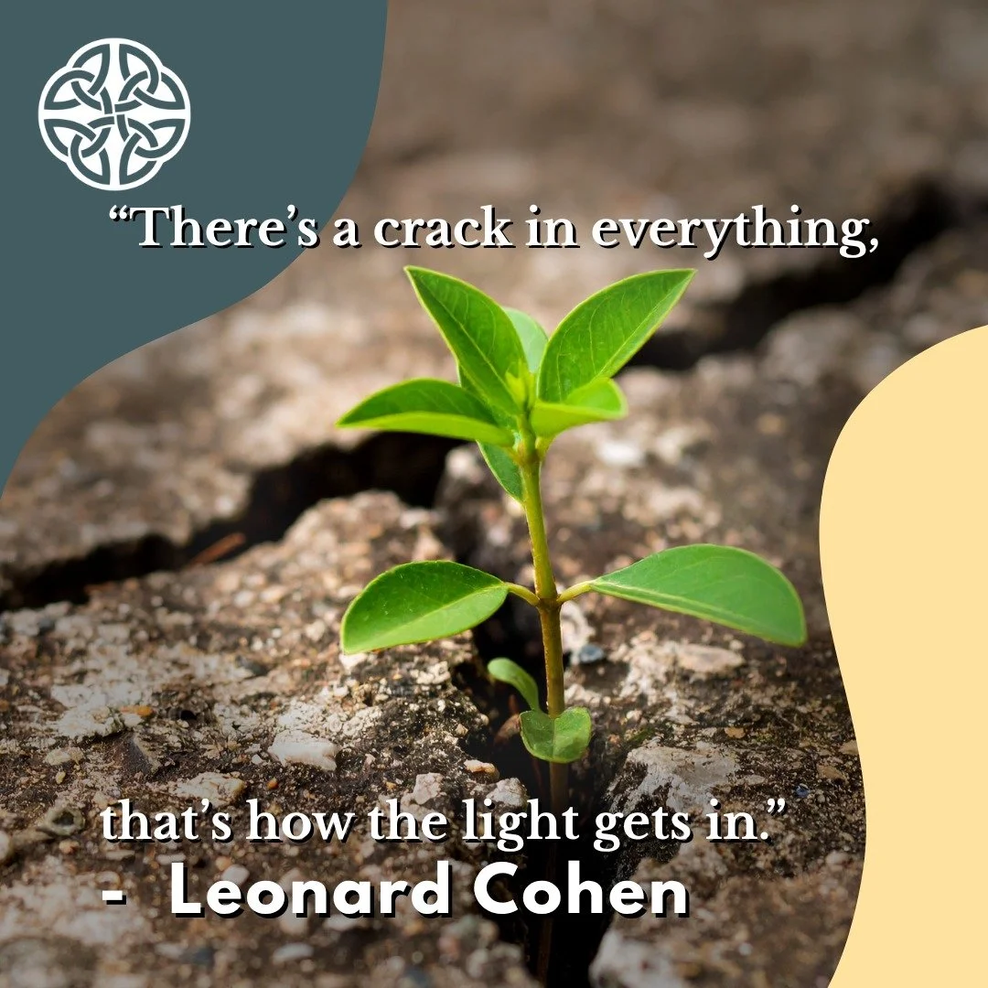 Cracks show where pressure built, where something gave way, where life didn&rsquo;t go as planned.

And still, something grows.

Healing doesn&rsquo;t come from pretending things are whole. It comes from letting a little light in where they&rsquo;re 