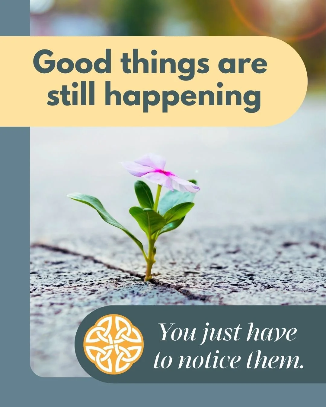 Times are hard for a lot of us right now, but here is still so much good waiting to surprise you. 💛

Keep your eyes open for it.

#MentalWellness #MindfulLiving #FindTheGood  #SmallThings #PositiveMindset #GratitudePractice #HumanFirst #CommunityCar
