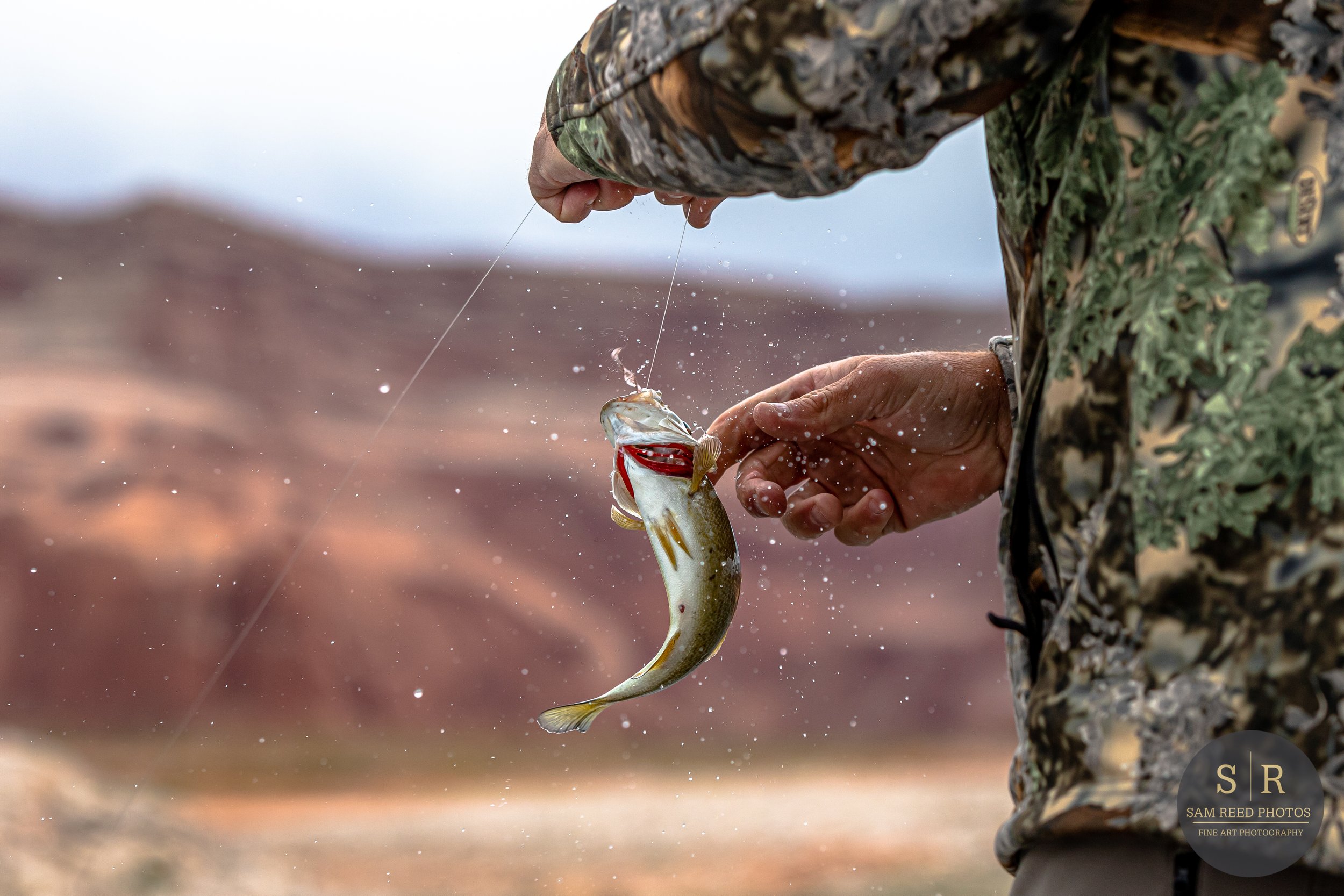 day.2.photos (13 of 24).jpg