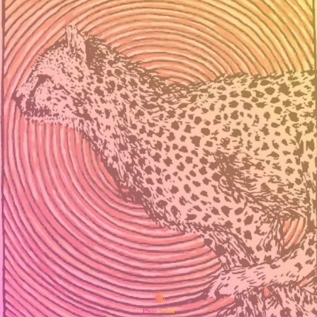 Ecstatic Dance ∞ Surprise international Guest