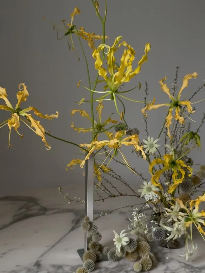 Rainy day play

By the way of some dried echniops bomble-y stacks-on- stacks things, leftovers from a mock-up, and a dose of self-love

San Francisco, event florist, wedding florist, modern flowers, Bay Area florist, Napa Florist, Sonoma Florist, fyp