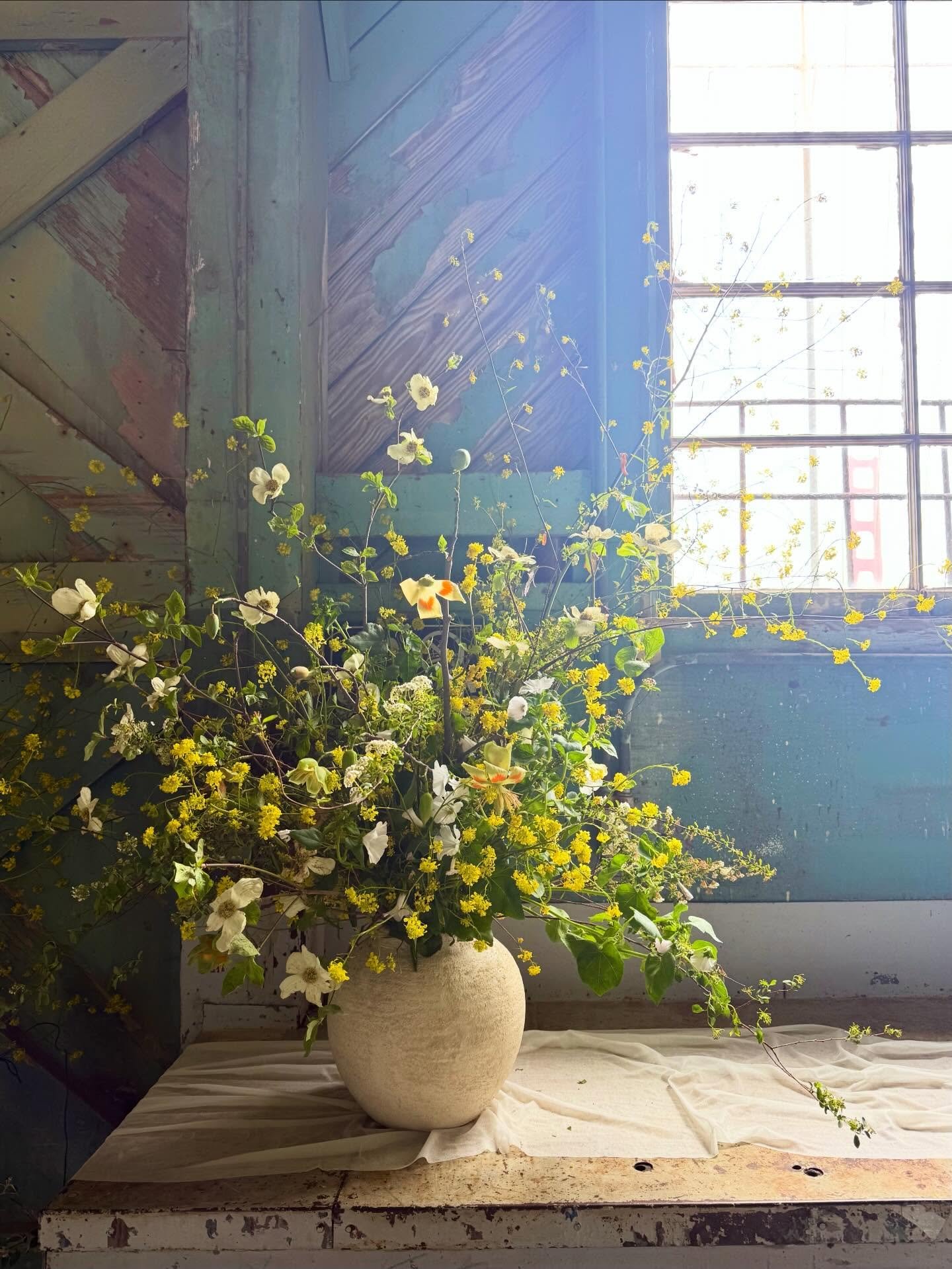 All the dreamy bits of Spring in these biggies to kick off May flowers for C&amp;M last weekend.

With the best crew @nosegay_sf @califloracation @skae.flwrrrr and not pictured @danijrdn 

Amazing product from 
@torchionursery 
@californiabayflowerco