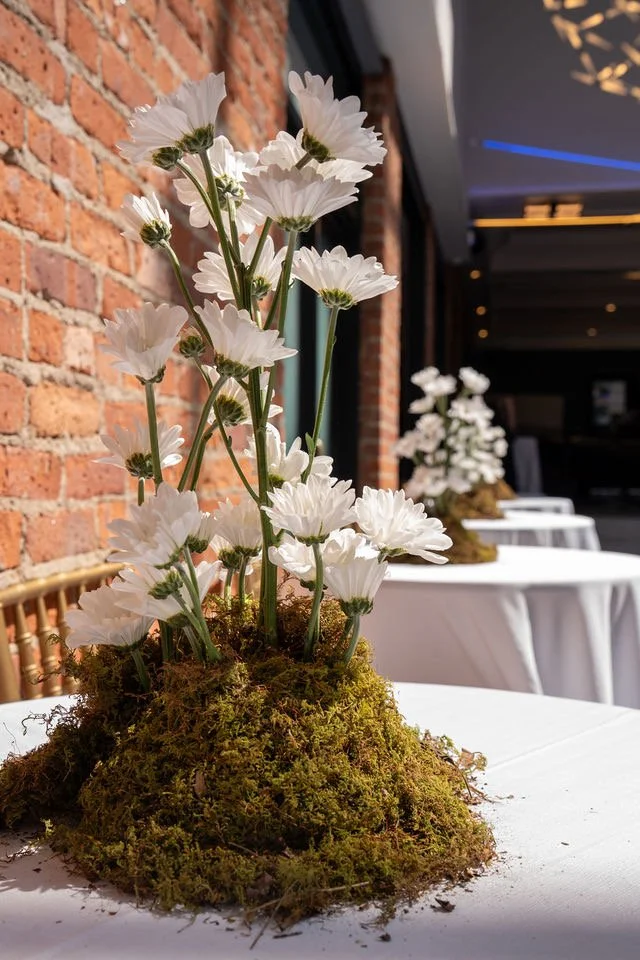 A floral arrangement of white daisies in moss, set on a table with a white tablecloth at a decorated event venue.