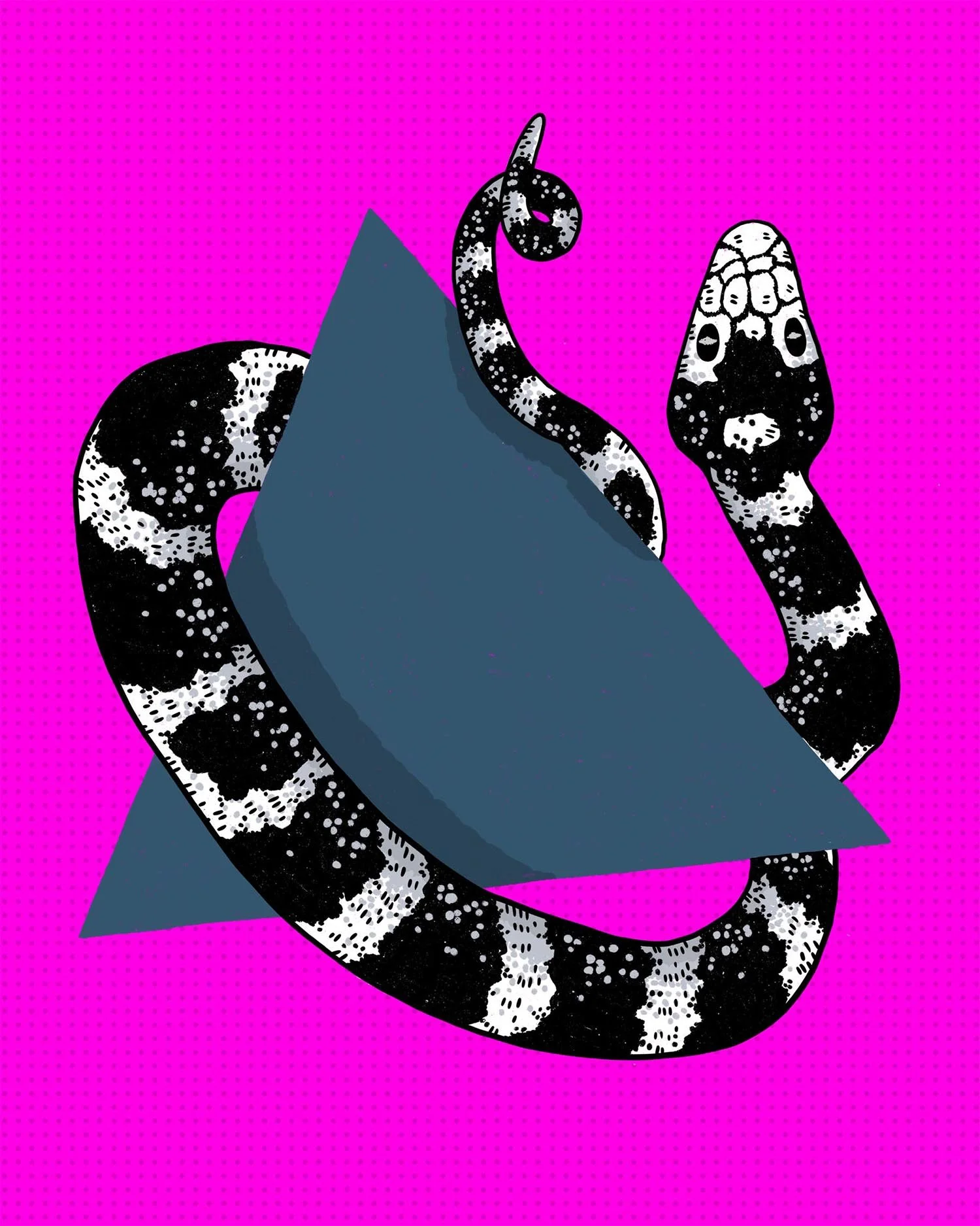 California_Kingsnake_221_SM.jpg