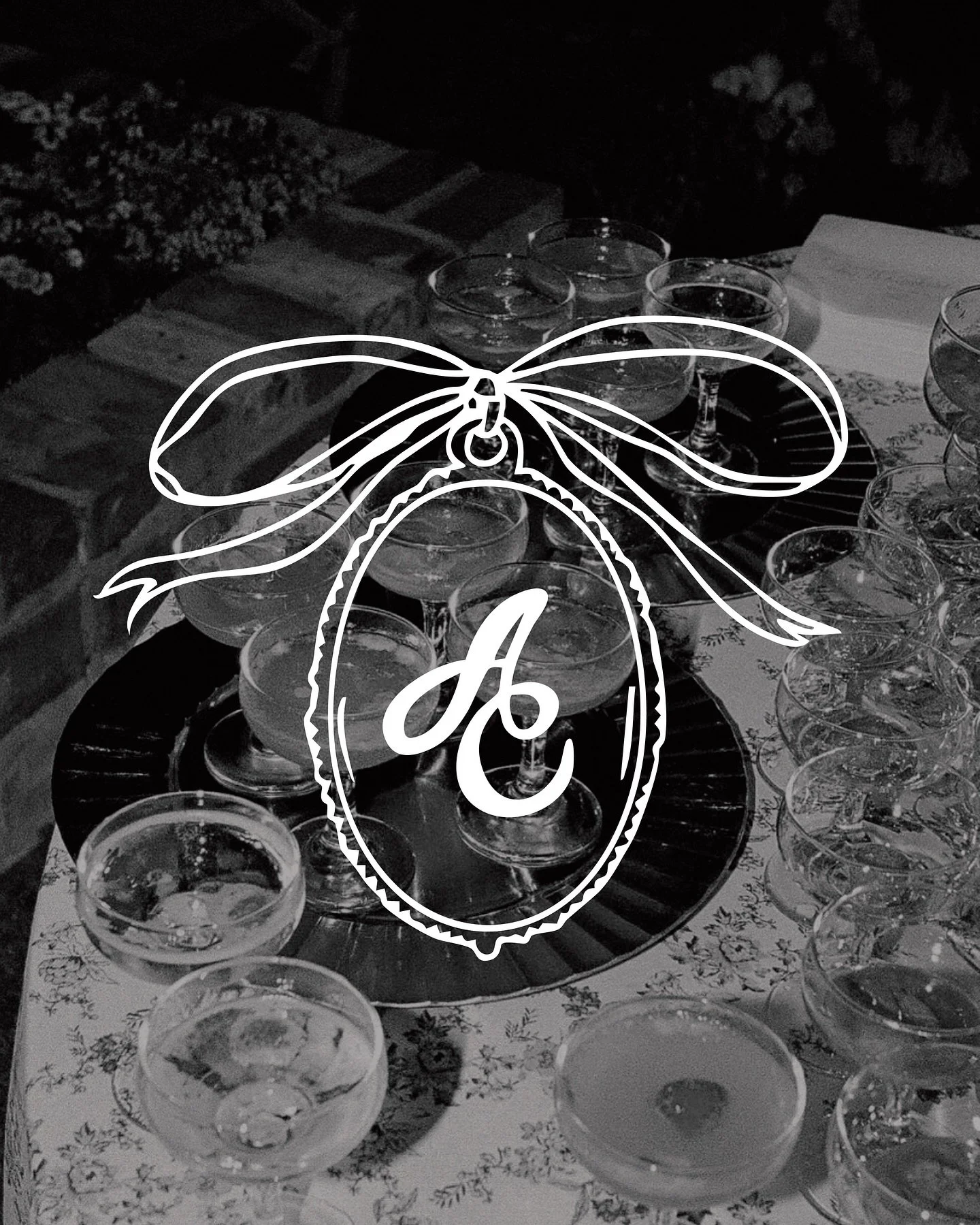 Brand identity &amp; illustrations for @alliecatalanottophoto ❤️&zwj;🔥🍸🦪🐊💐🕊️📸such a full circle project for the best muse &amp; friend since high school 🫶