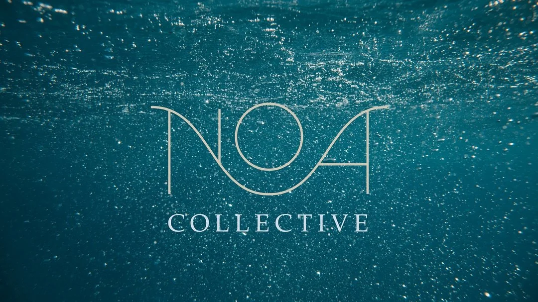 Still one of my favorite brands to date.

@noathecollective is a New Orleans fashion collective making bold, recognizable swimwear from 100% recycled materials. Small batch, ethically sourced, and they donate proceeds from every purchase to natural d