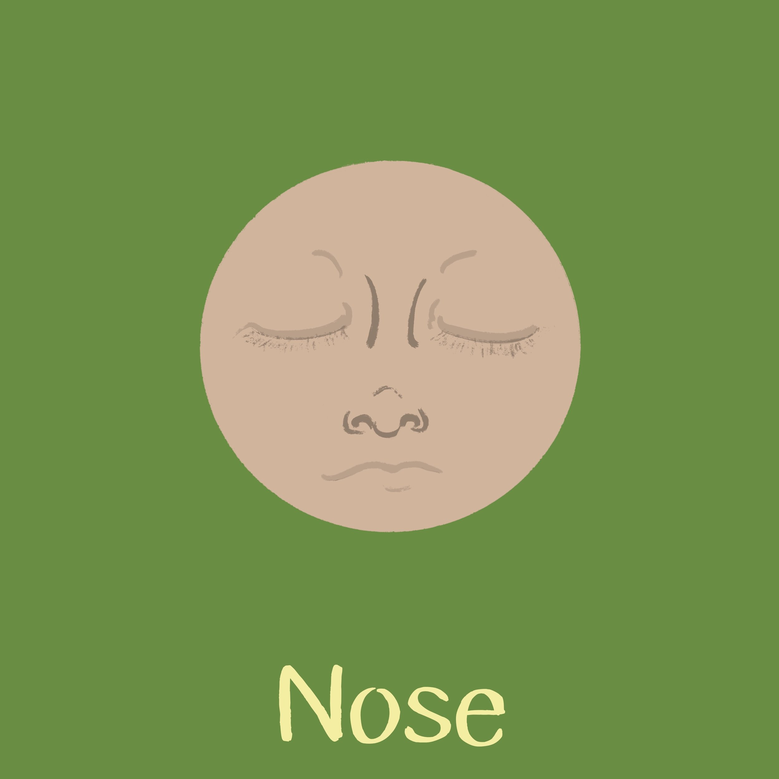 Engaging the Senses