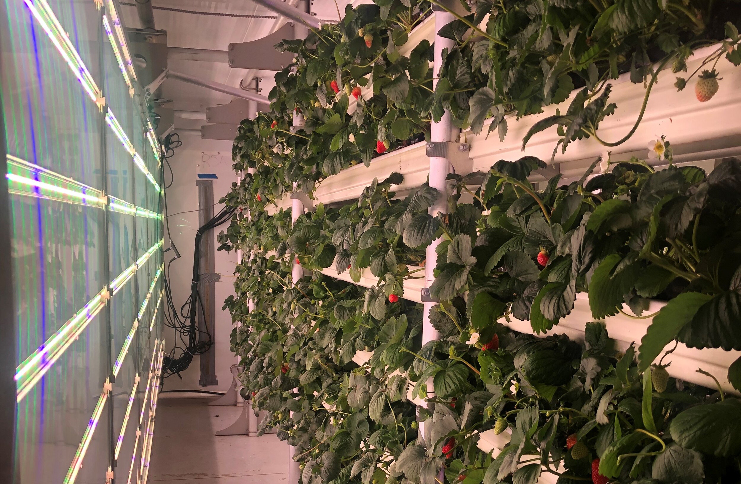 Des solutions vertes et innovantes