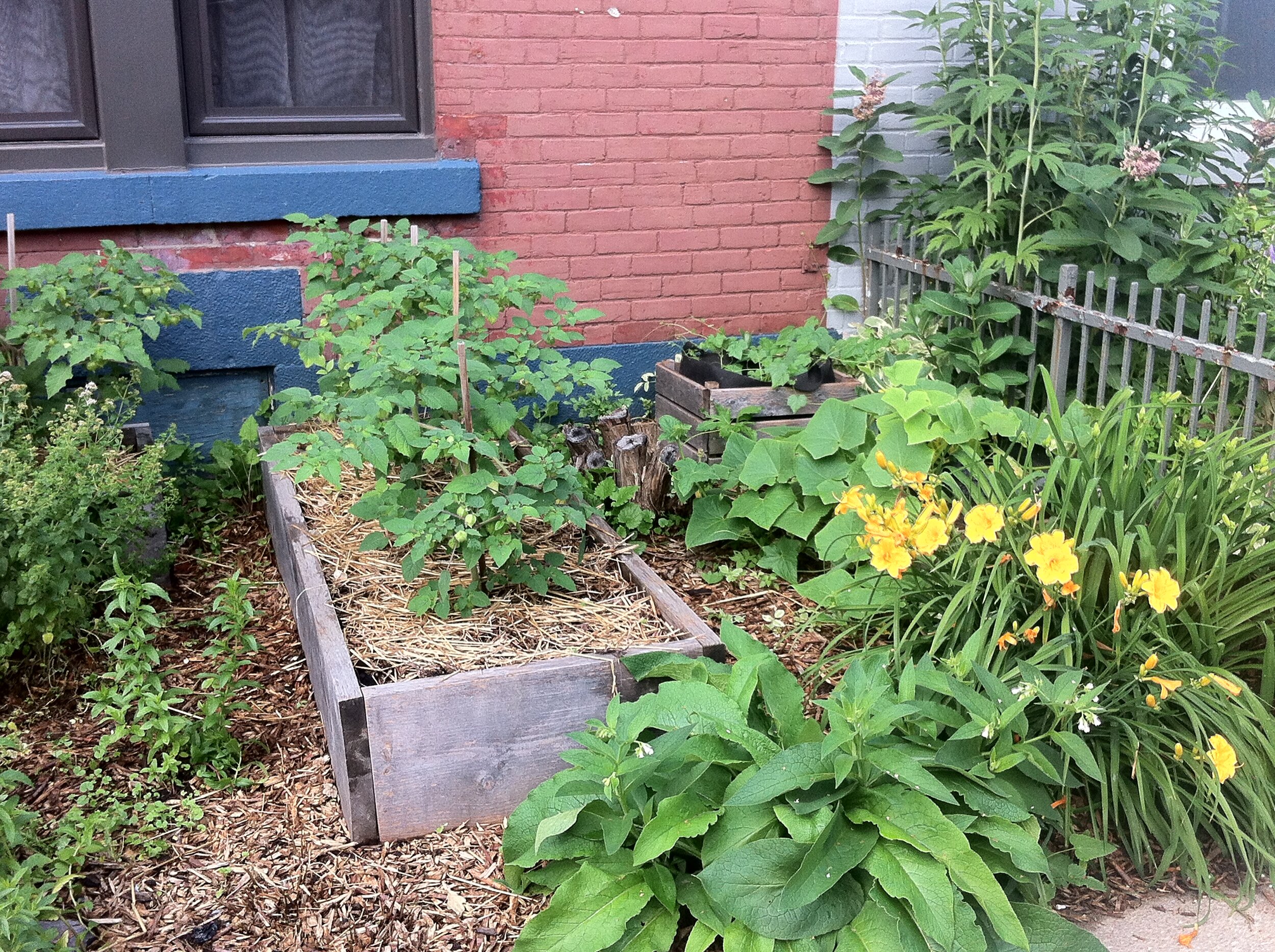 AU/LAB s'implique pour en savoir toujours plus sur le mouvement de l'agriculture urbaine : 4 ans de recherche sur les potagers de la région montréalaise
