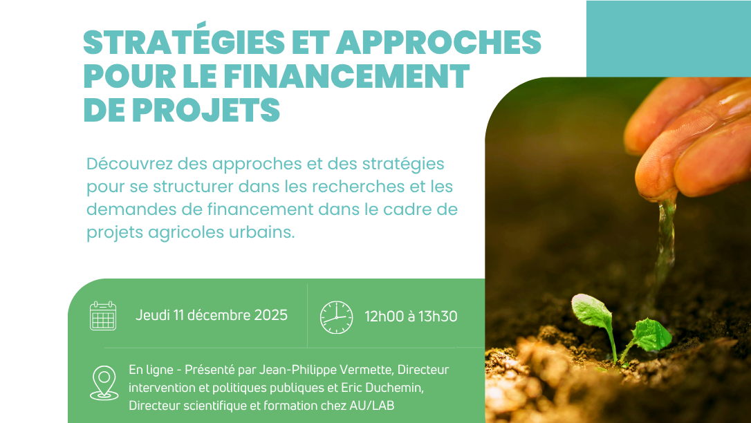 Stratégies et approches pour le financement de projets