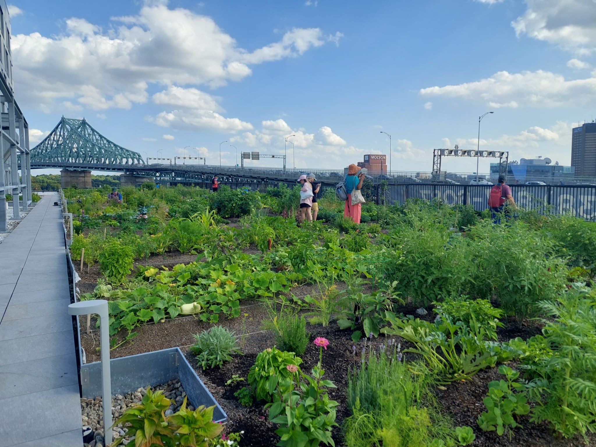 AU/LAB dans les jardins communautaires
