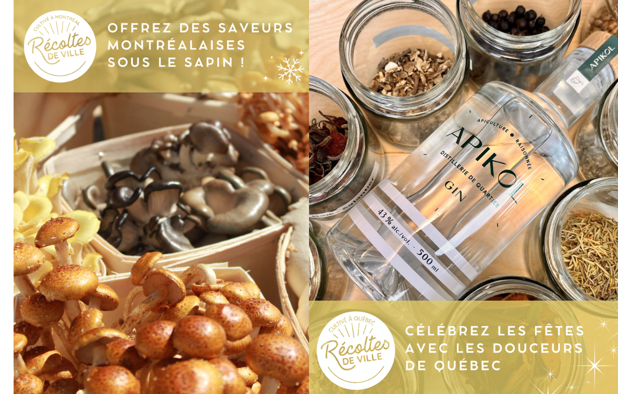 Des saveurs urbaines pour les fêtes : mettez l’agriculture urbaine sous le sapin et à table