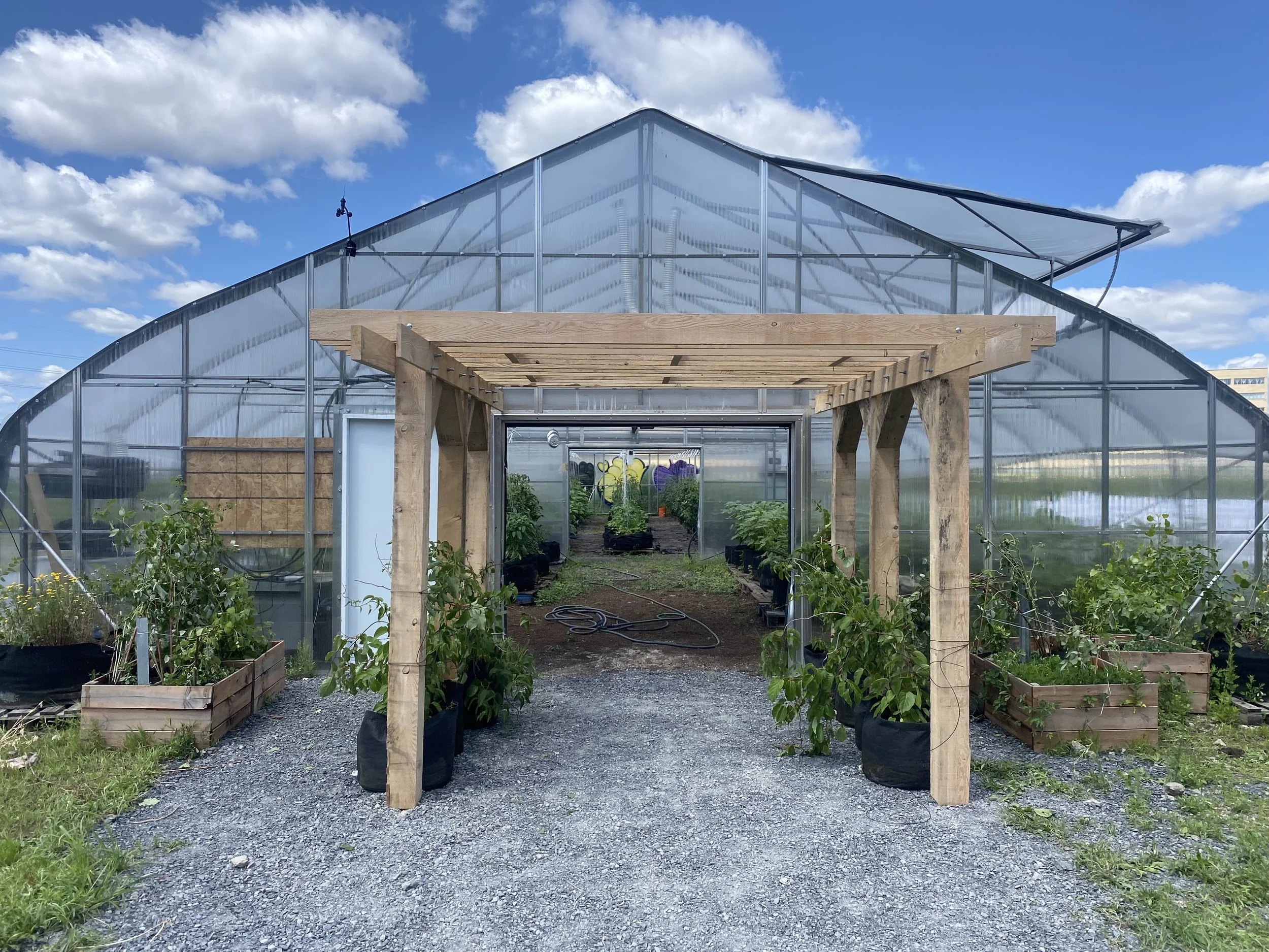 Un parcours de formations pour partir sa ferme urbaine ou son projet d’agriculture urbaine diversifiée