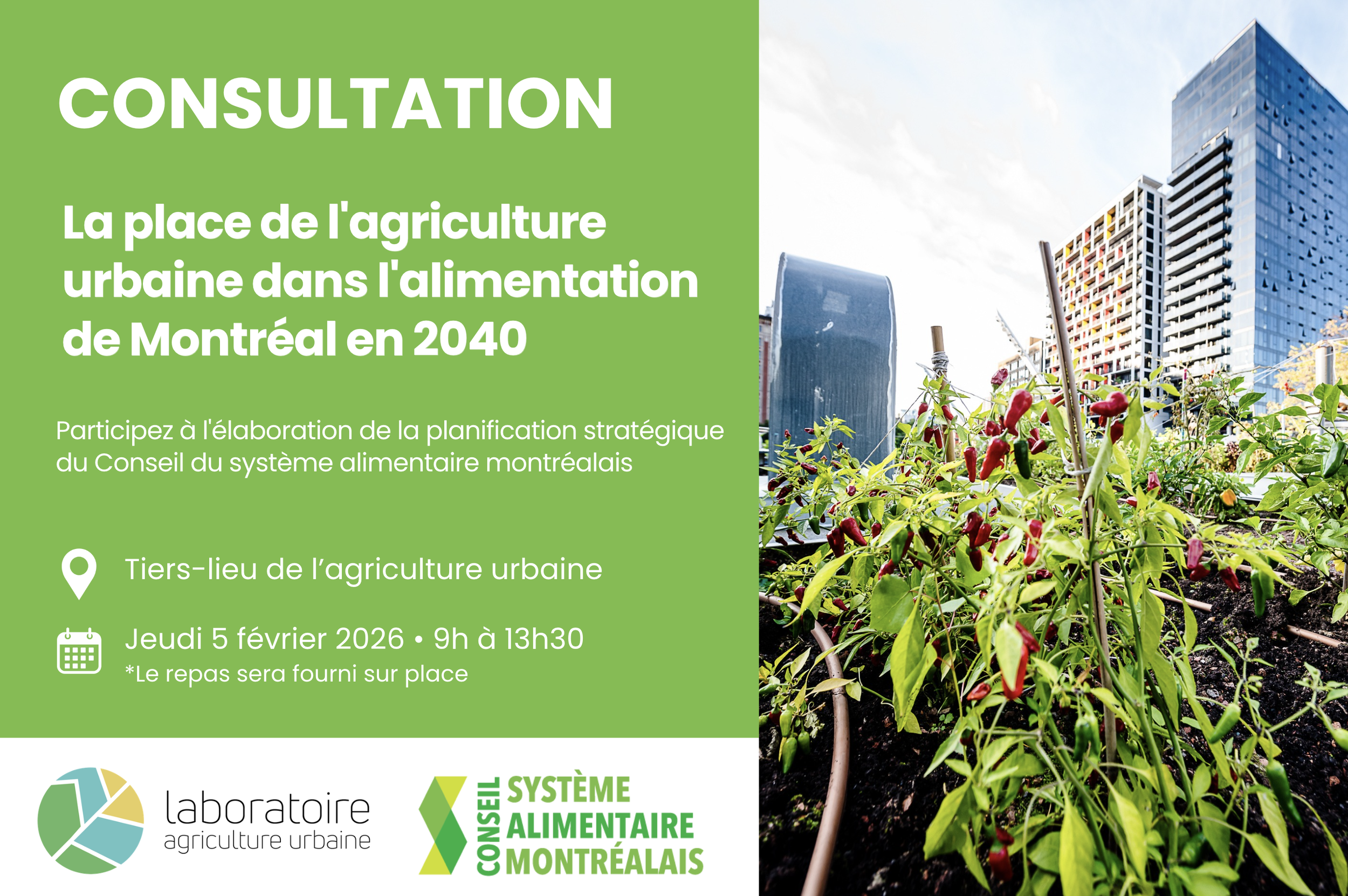 Consultation sur la place de l’agriculture urbaine dans l’alimentation de Montréal en 2040