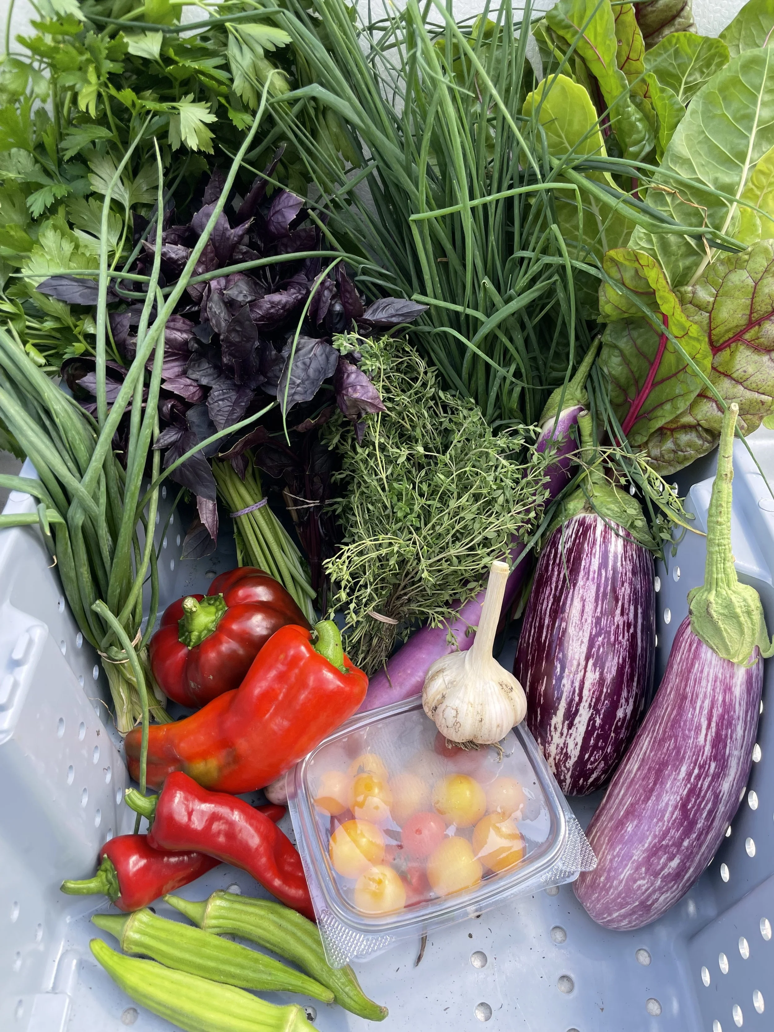 Paniers de légumes 2026