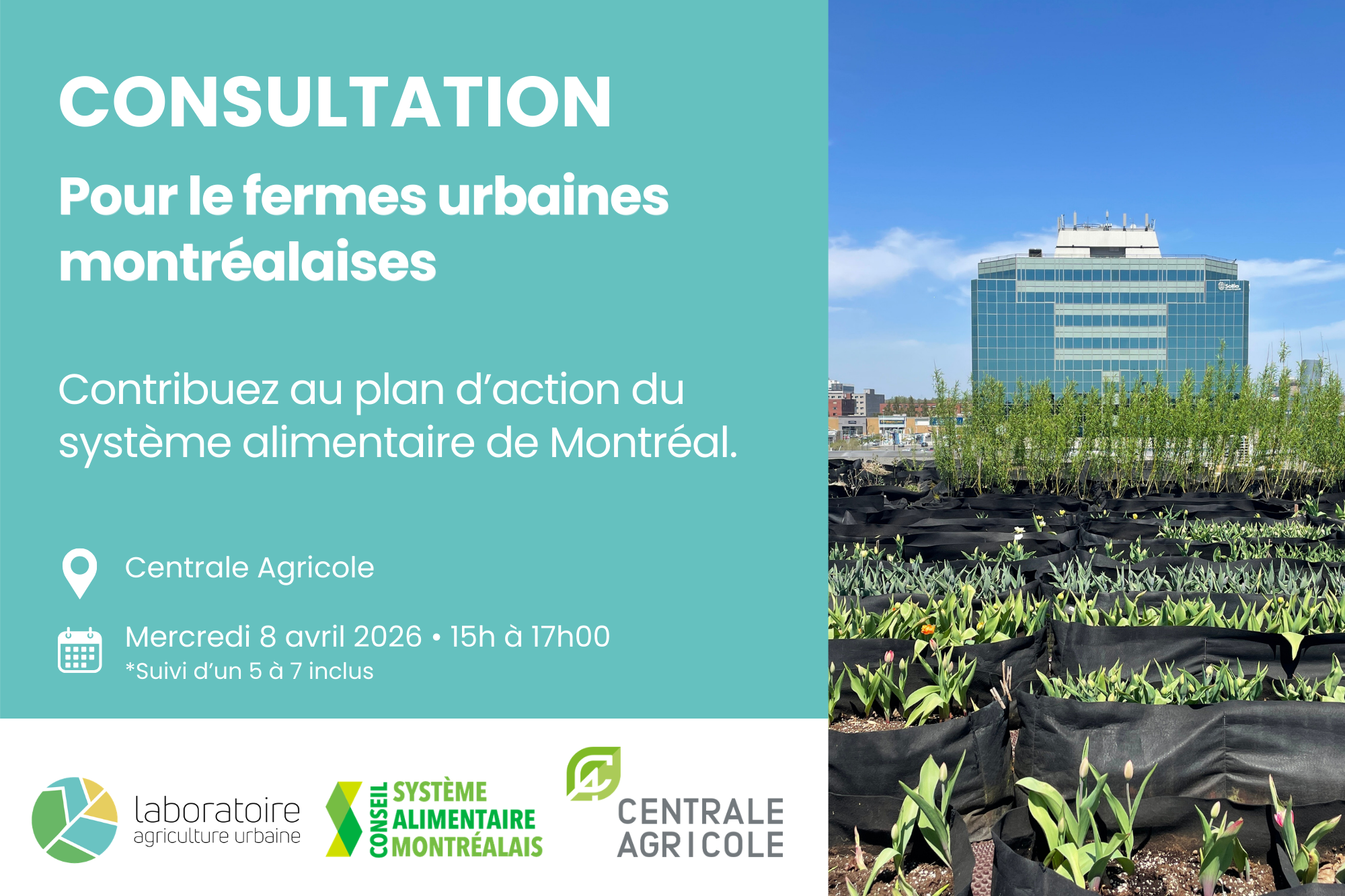 AULAB consulte les fermes urbaines montréalaises pour assurer leur place dans le système alimentaire de Montréal