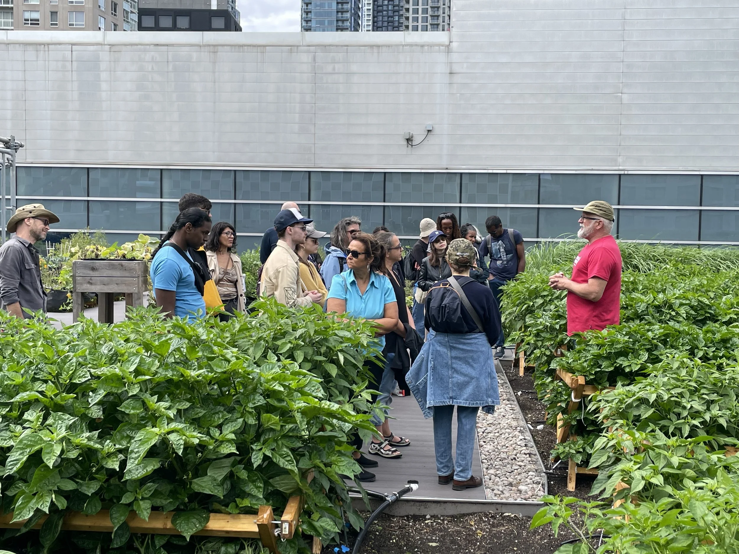 Portes ouvertes des fermes du Québec 2026 : inscrivez votre ferme urbaine dès maintenant!