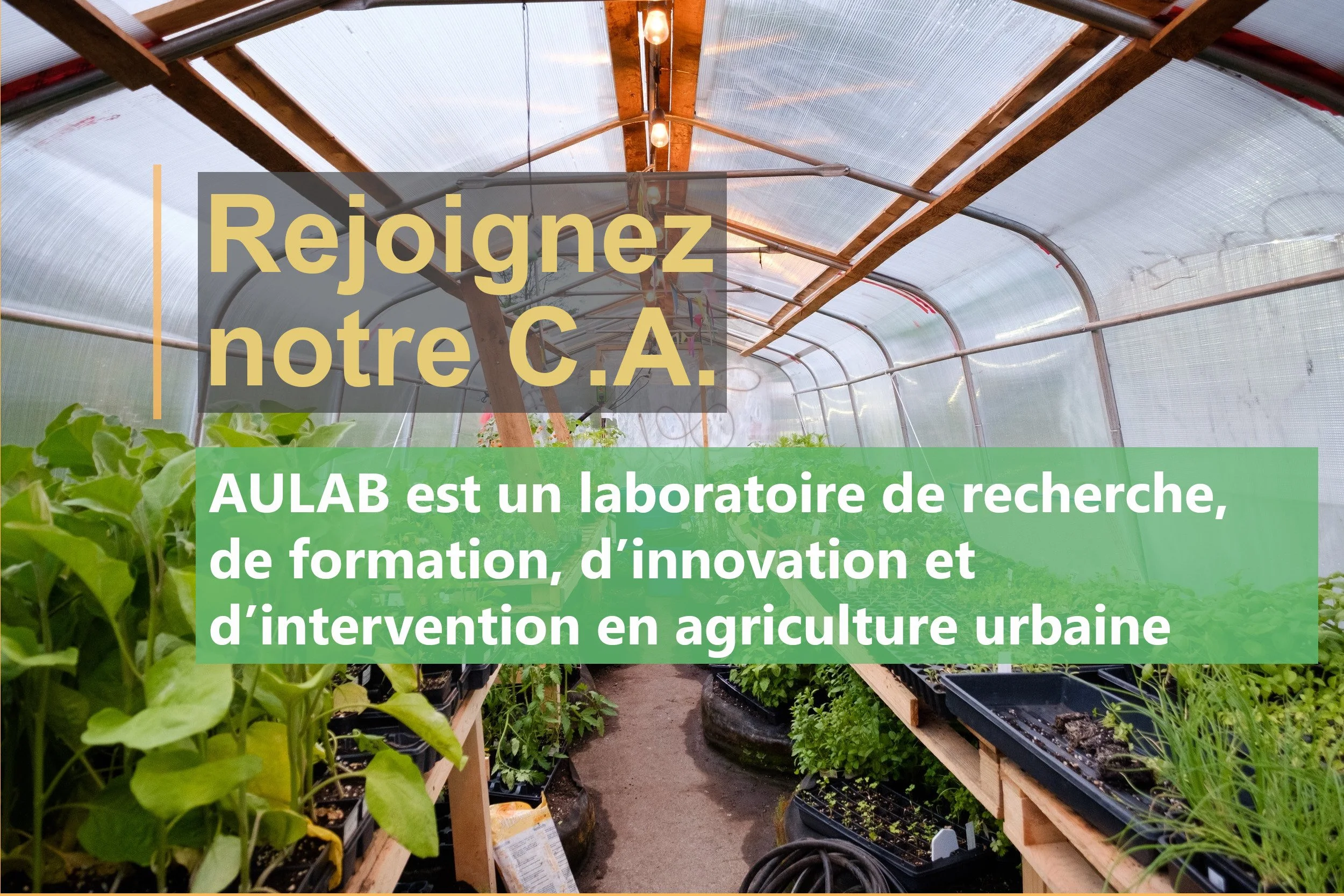 Rejoindre le conseil d’administration de AULAB  