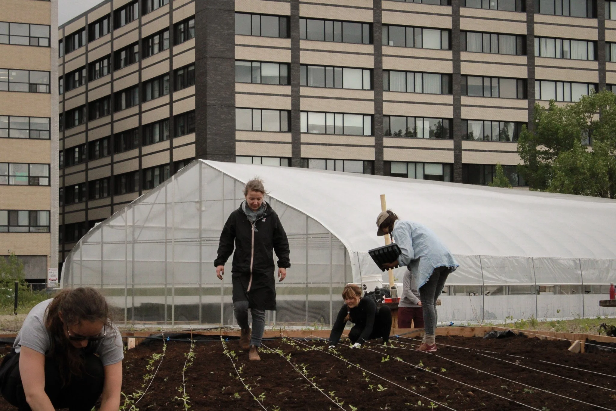 Une nouvelle cohorte pour les incubateurs de fermes urbaines à Montréal
