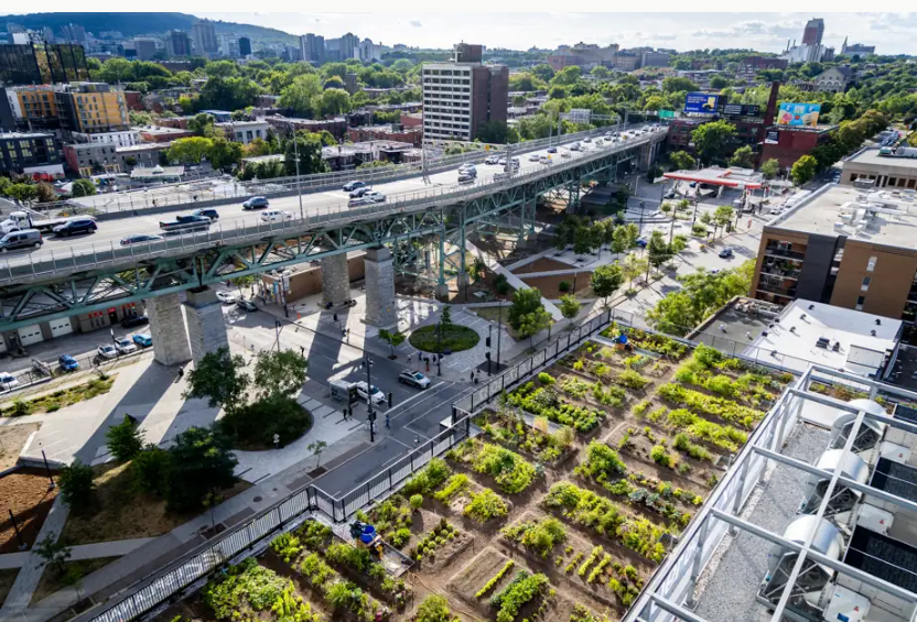 Dans le cadre des écoles d’été sur l’agriculture urbaine&nbsp;: une formation sur le développement de municipalités nourricières par l’agriculture urbaine