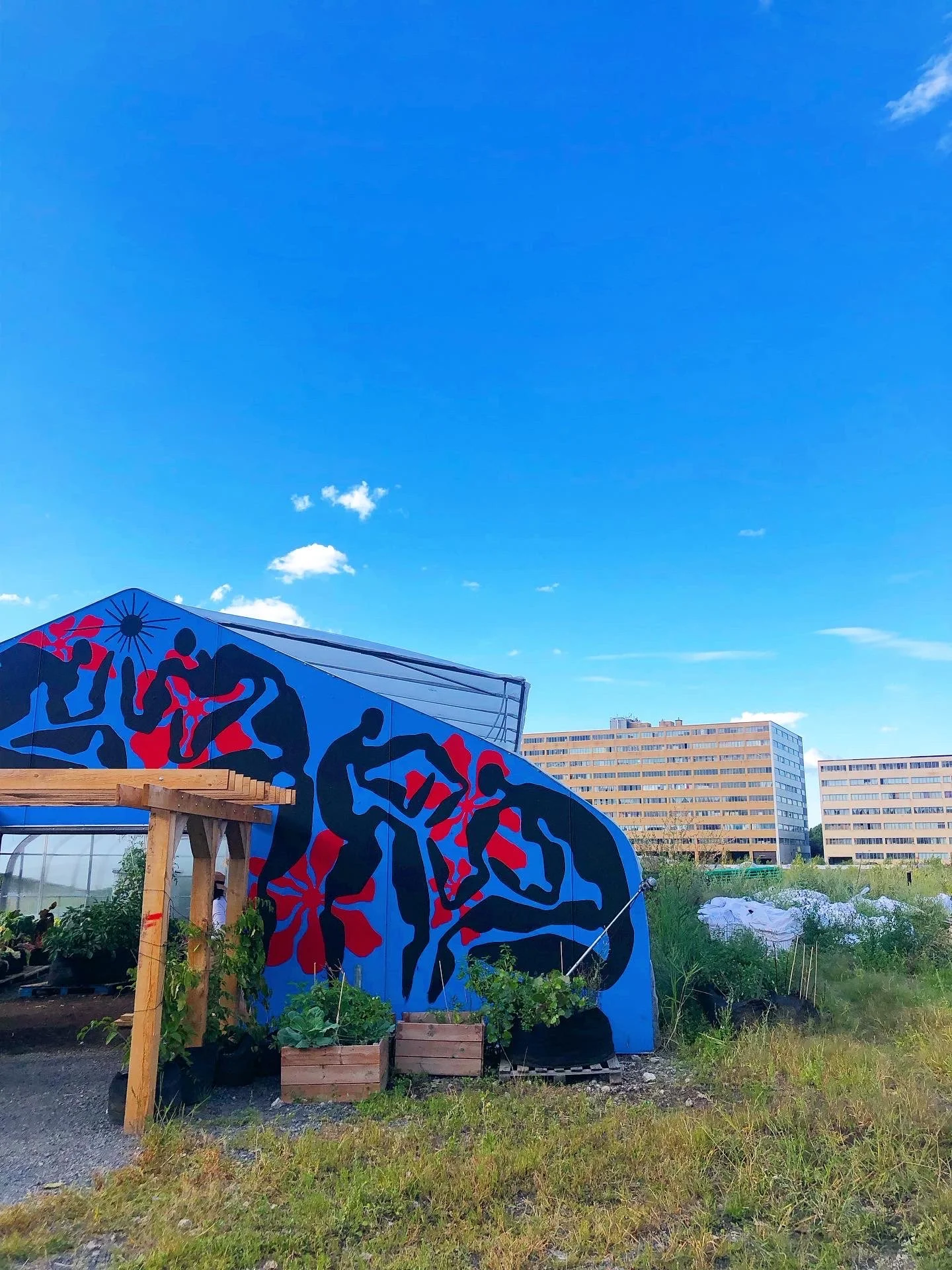 Dans le cadre de l’École d’été sur l’agriculture urbaine de Montréal&nbsp;: une formation pour les organismes communautaires