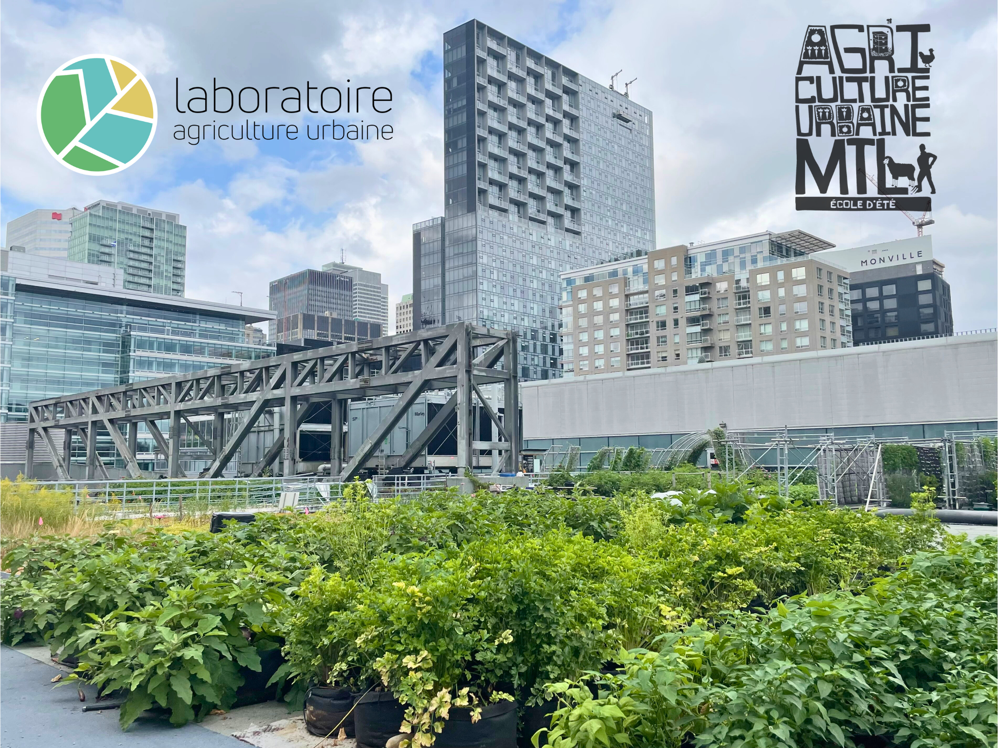 5 à 7 unique à la ferme maraîchère sur le toit du Palais des congrès