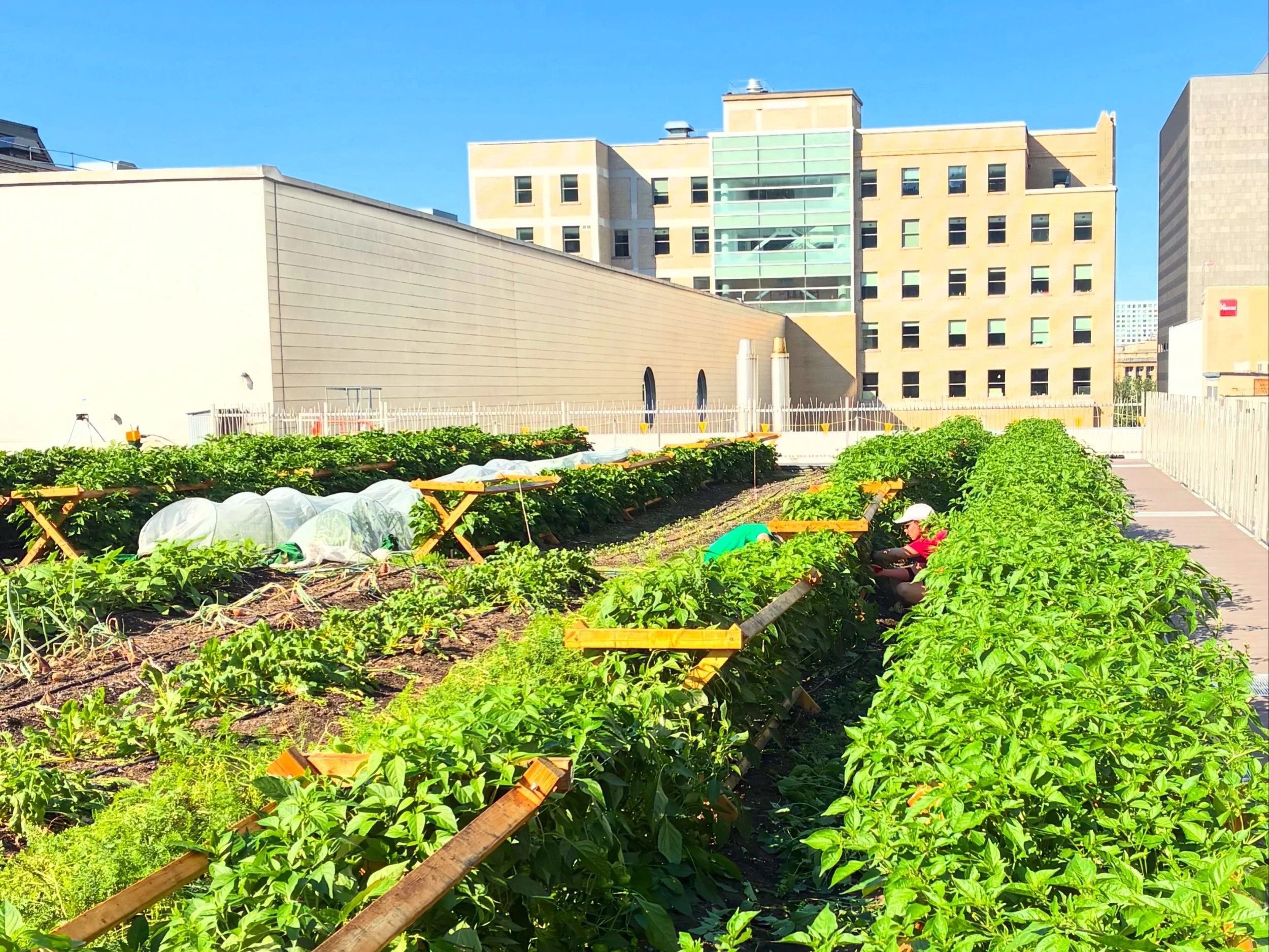 [EMPLOI] Technicien(ne) agricole pour la fin de la saison 2026