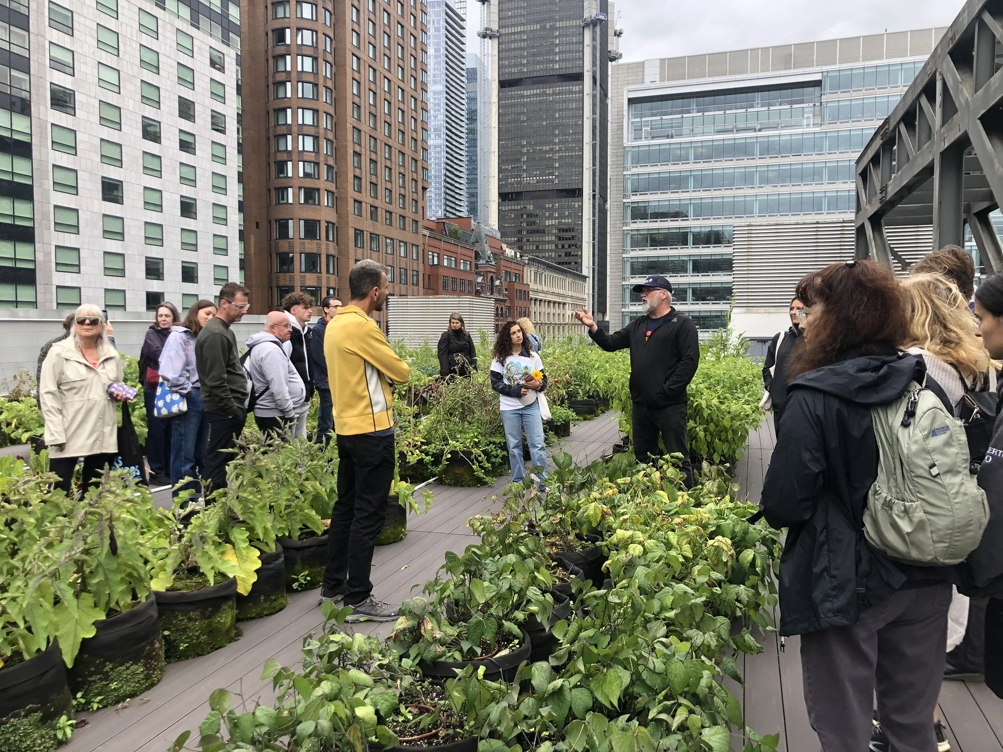 Portes ouvertes sur 4 fermes urbaines de Montréal