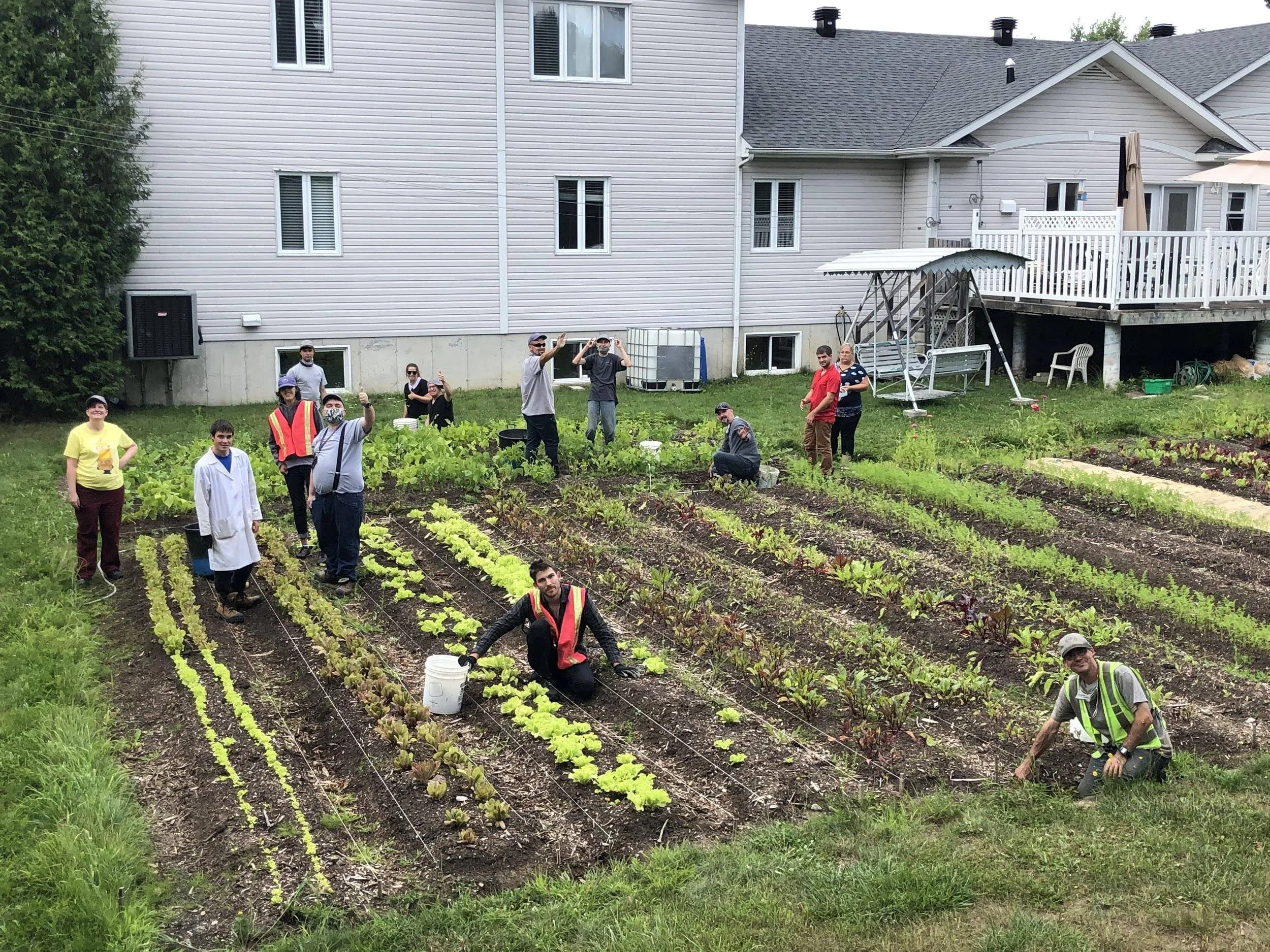 Rencontre régionale des acteurs et actrices de l’agriculture urbaine, en Estrie