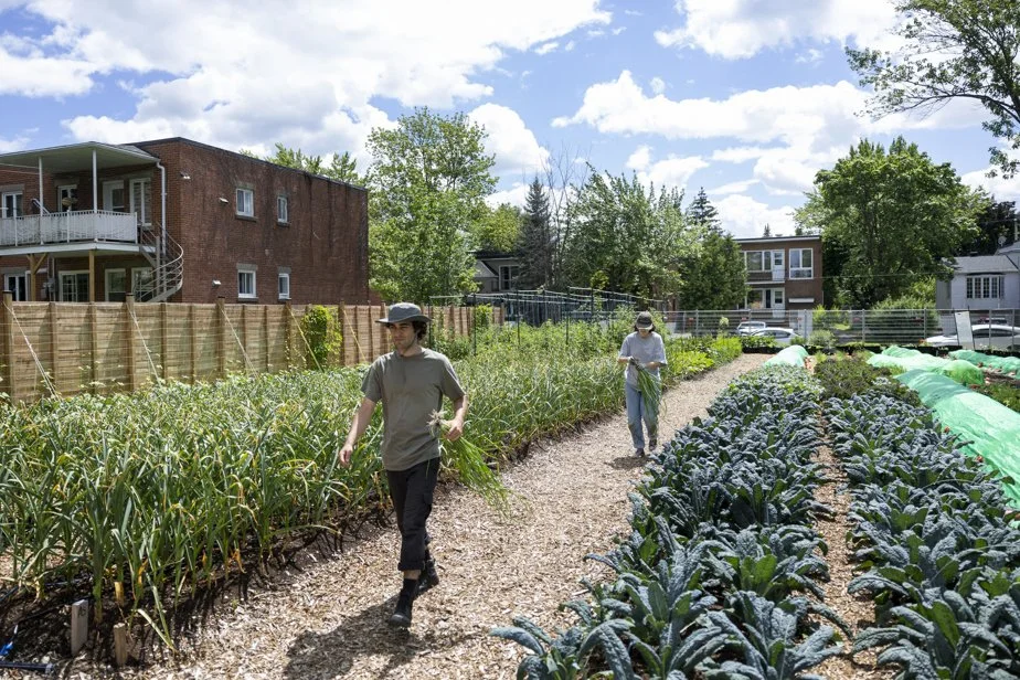 AU/LAB organise une série de formations pour les acteurs et actrices des jardins communautaires et collectifs