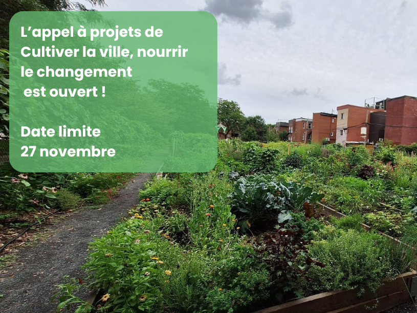 Appel à projets 2027&nbsp;: « Cultiver la ville, nourrir le changement »&nbsp;