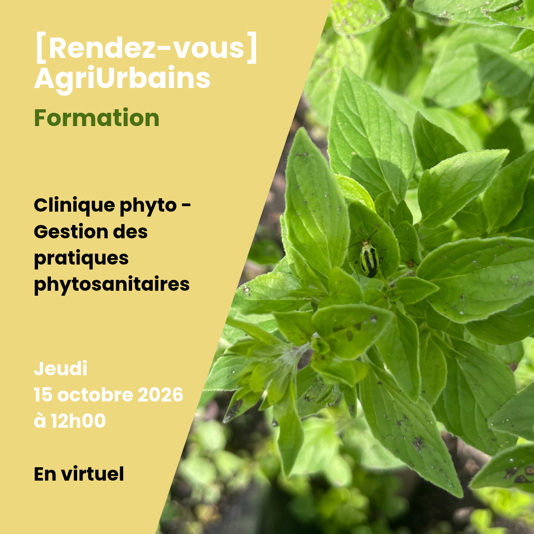 Clinique phyto - gestion des pratiques phytosanitaires