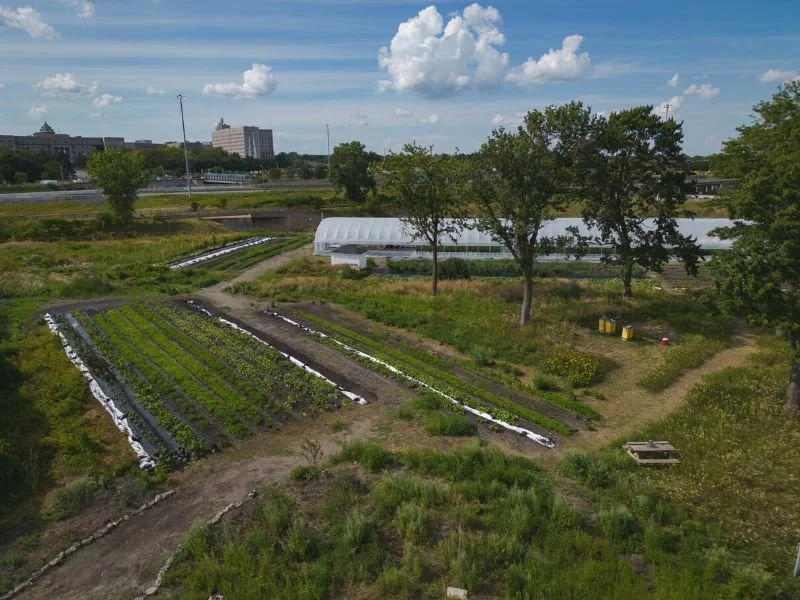 L’agriculture urbaine&nbsp;: un outil des banques alimentaires pour lutter contre l’insécurité alimentaire