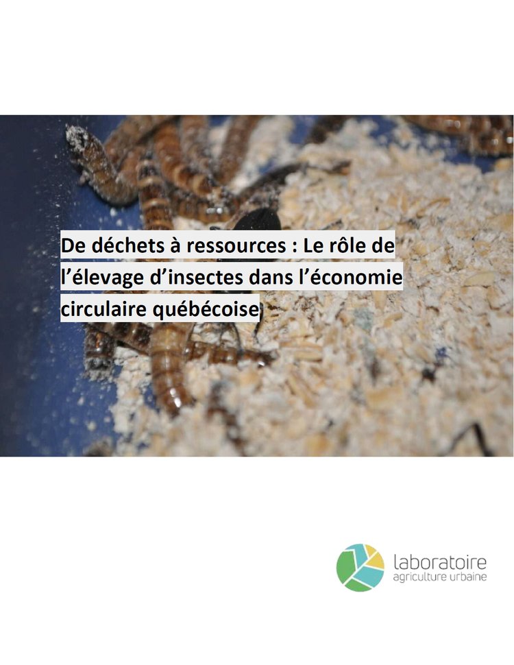 Elevage Insect De déchets à ressources : le rôle de l’élevage d’insectes dans l ...