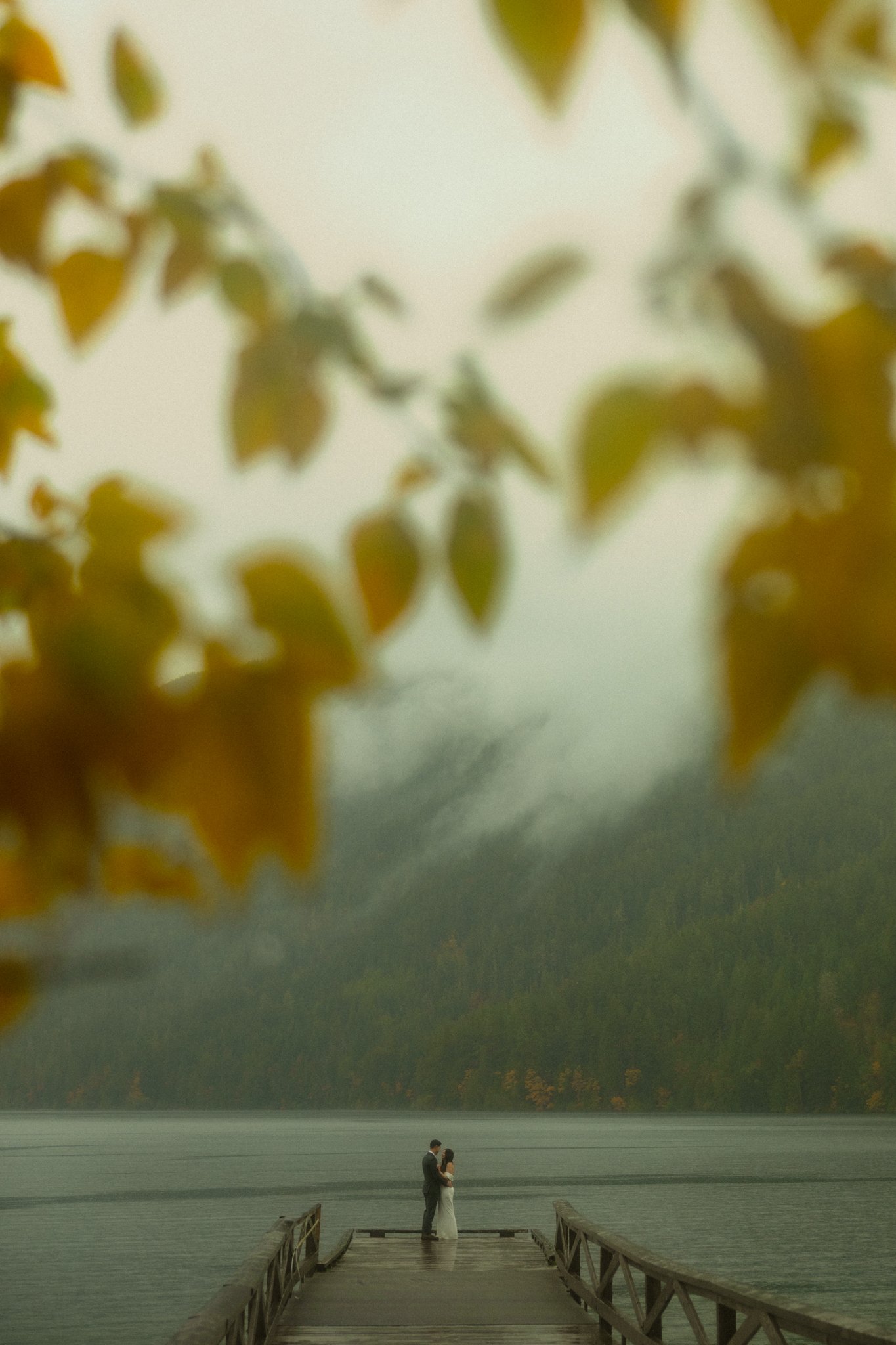 A Rainy Olympic National Park Elopement | Isabella + Edward’s Intimate Fall Wedding