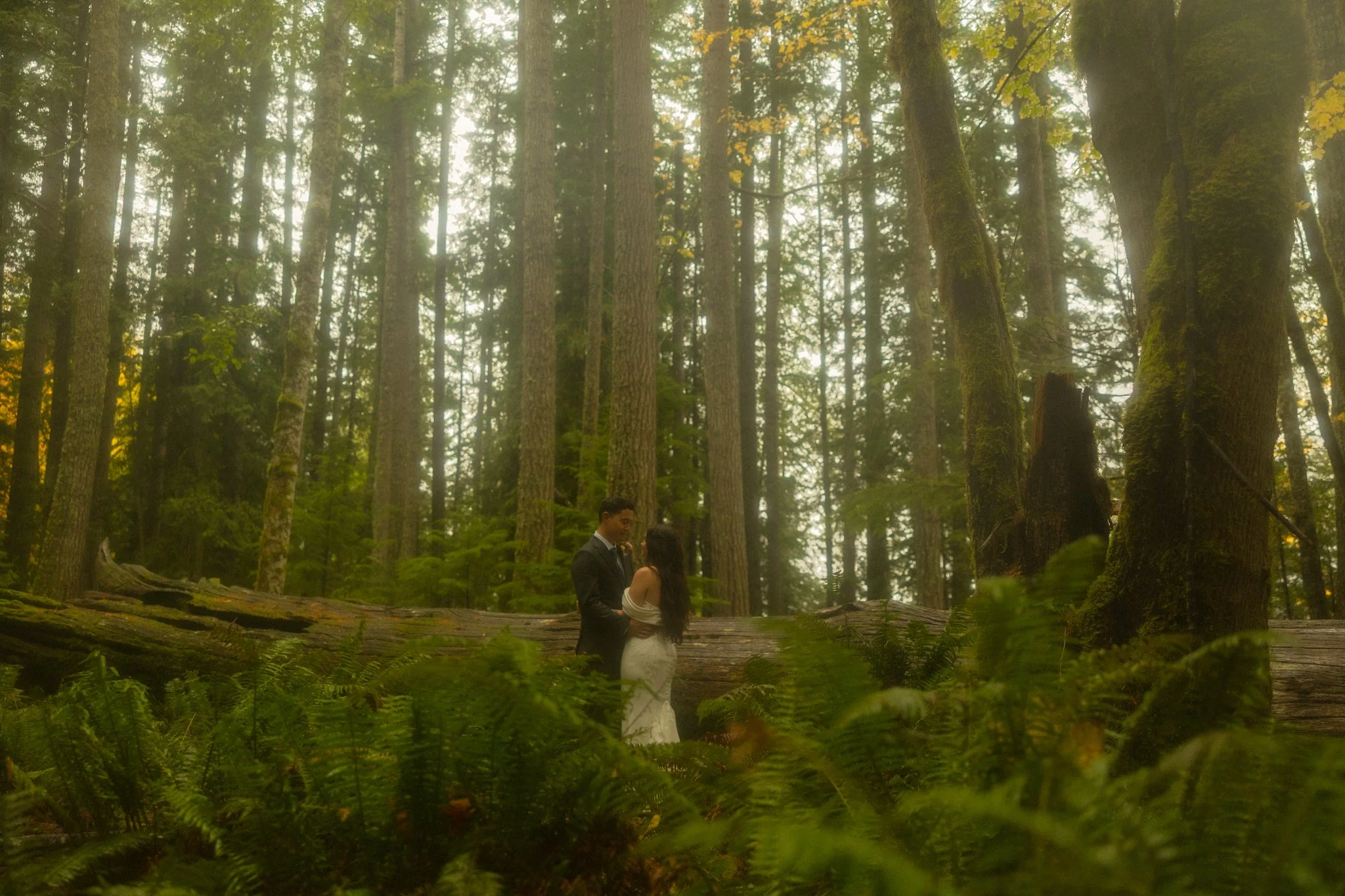 an elopement couple embracing in a lush green forest within Olympic National Park