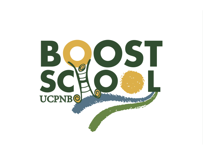 Boost School