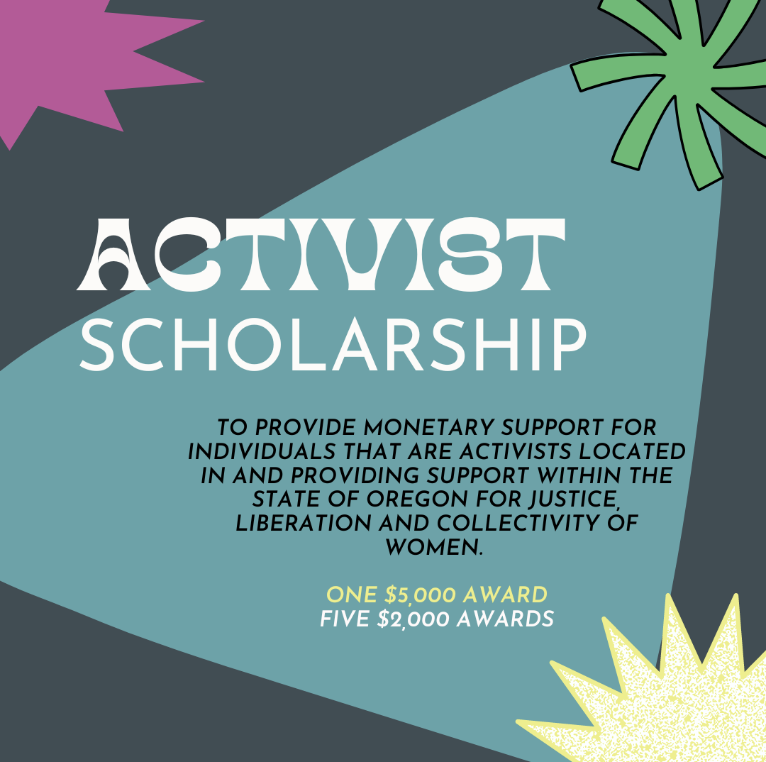 Activist grant description on dark and light blue background with splashes of color