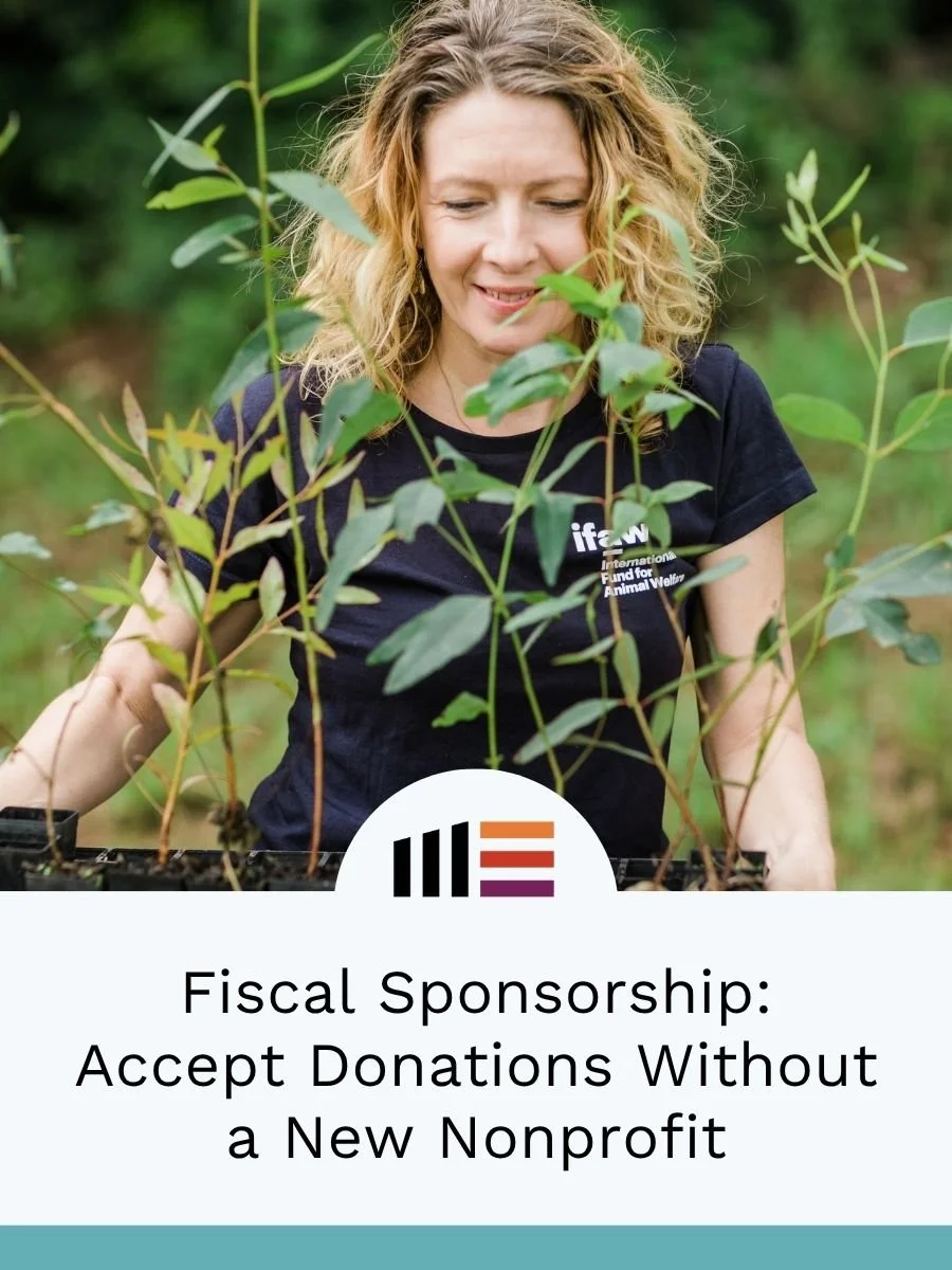 Fiscal Sponsorship: Accept Donations Without a New Nonprofit