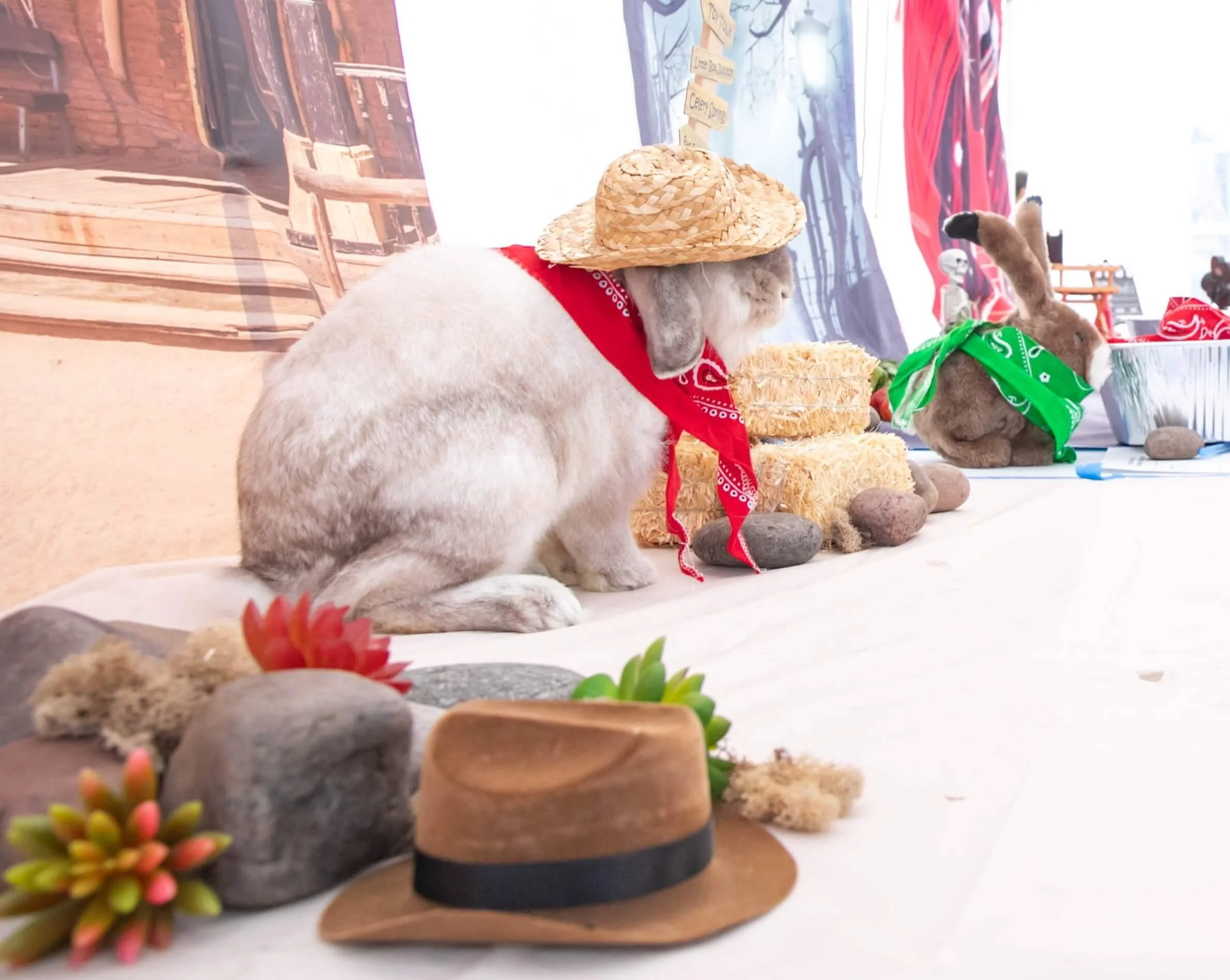 bunny-wearing-a-straw-hat-and-a-bandana-while-surrounded-by-little-hay-bales-and-rocks.jpg