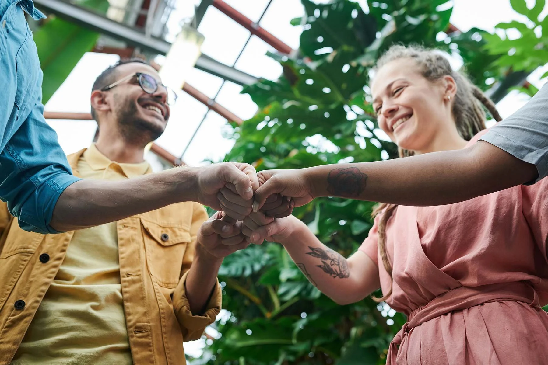 A group of colleagues smiling and doing a group fist bump in a bright, plant-filled indoor space