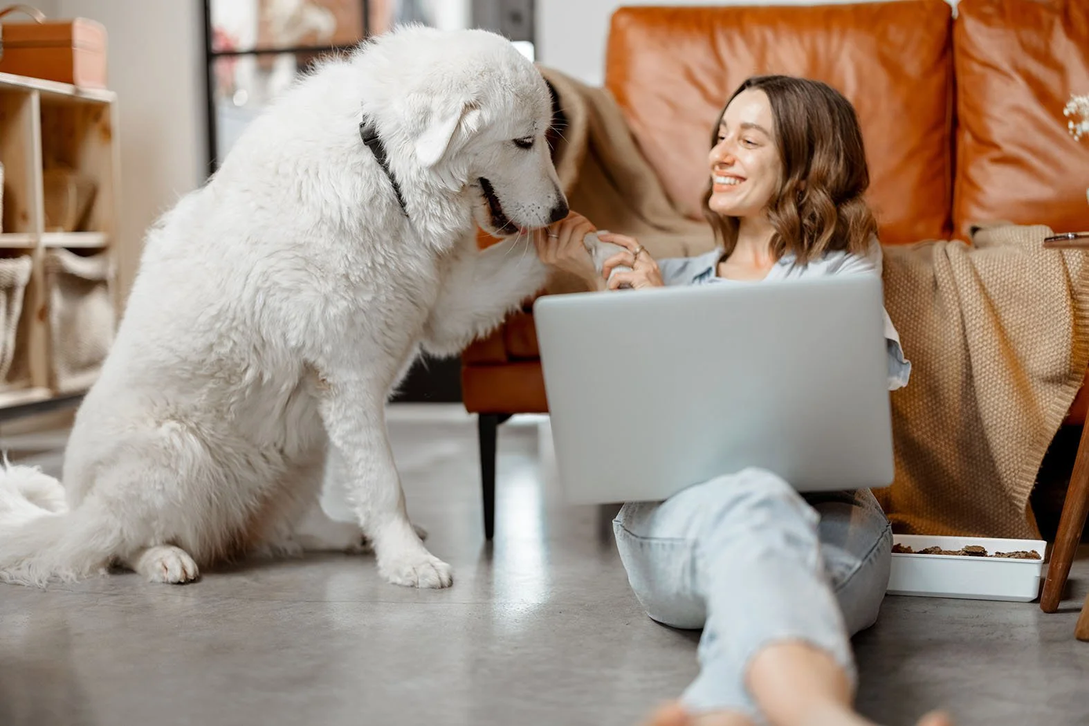 large white dog and woman sitting on the floor as she works on her laptop and leans against a leather couch