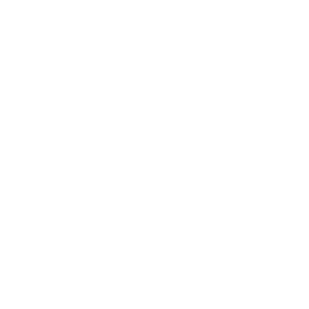 Dust And Shine Cleaning Agency
