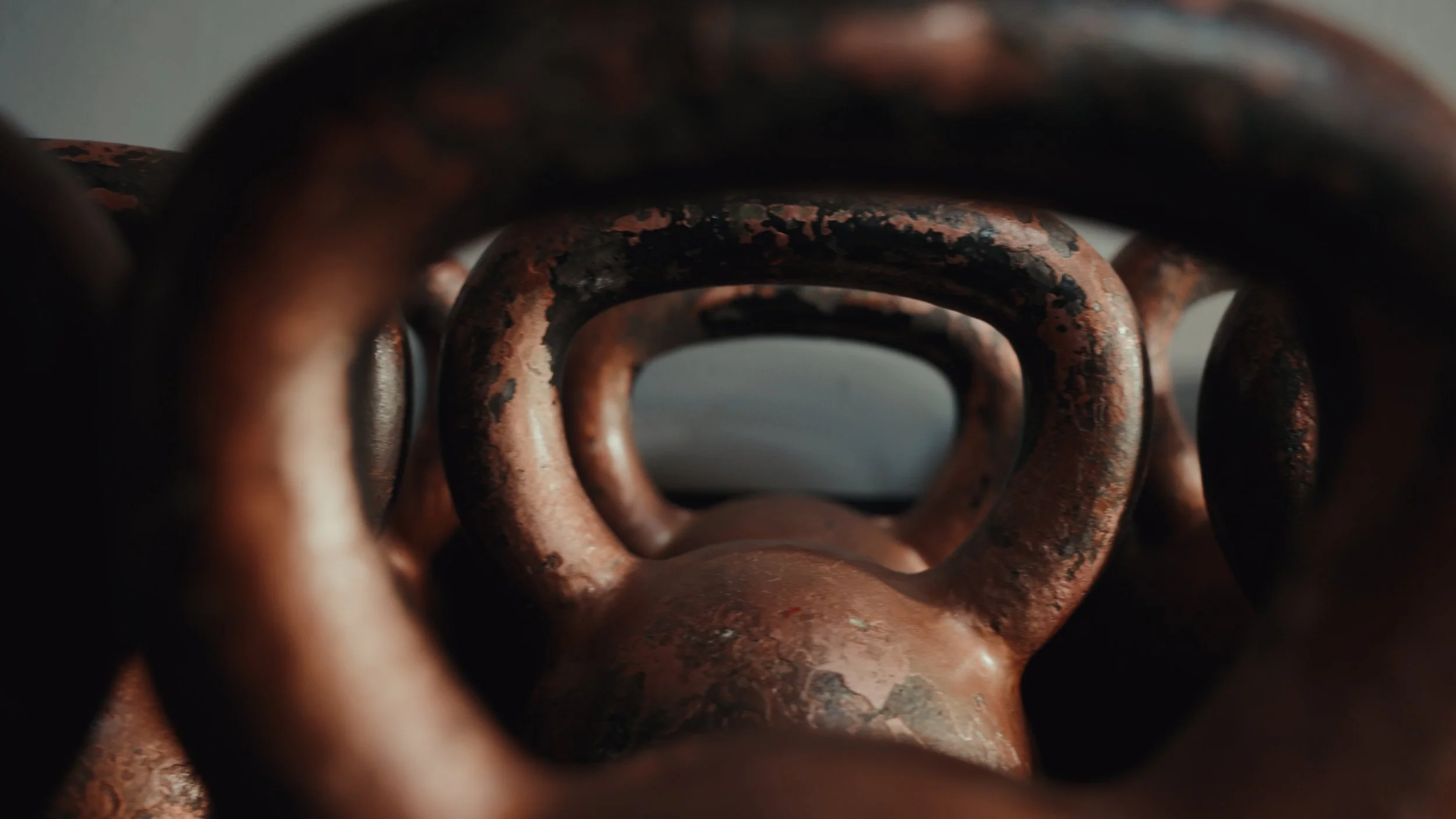 Still 2026-02-25 210316_4.34.1.jpg