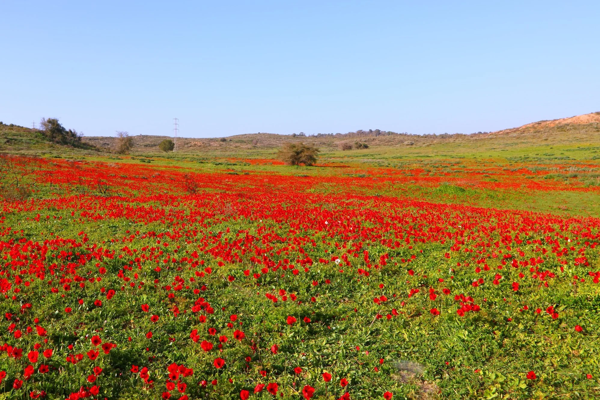 Lecture and Slide Show on Israel’s Natural Landscape