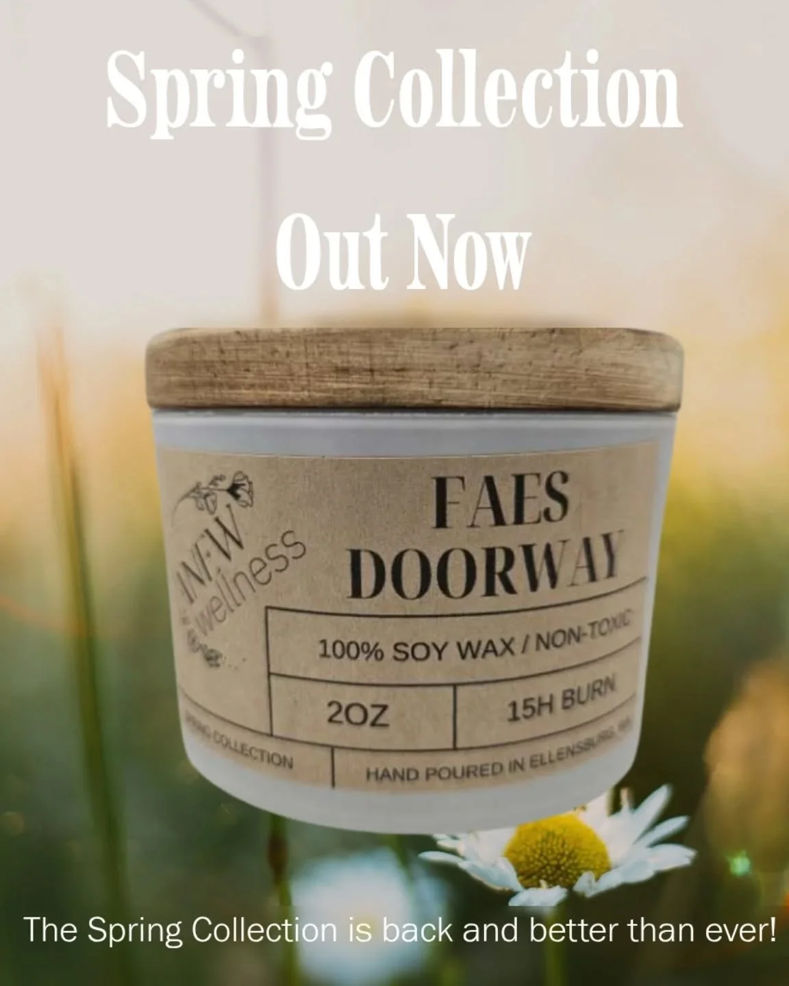 The 2025 Spring Collection is officially live on the website 🦋✨🐰🌞

#springcollection2025 #springcandles