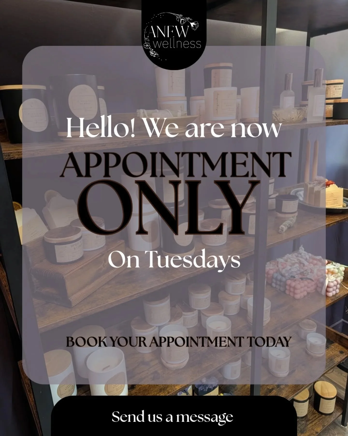 After much deliberation we've decided to switch to Appointment Only on Tuesdays. I've been thinking about this decision for a really long time and it was a difficult conclusion to come to. 

However, some exciting news led to this decision! 🥁
My par